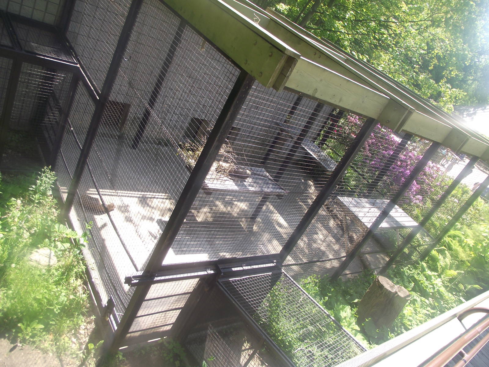 Upgraded Sumtran Tiger holding area