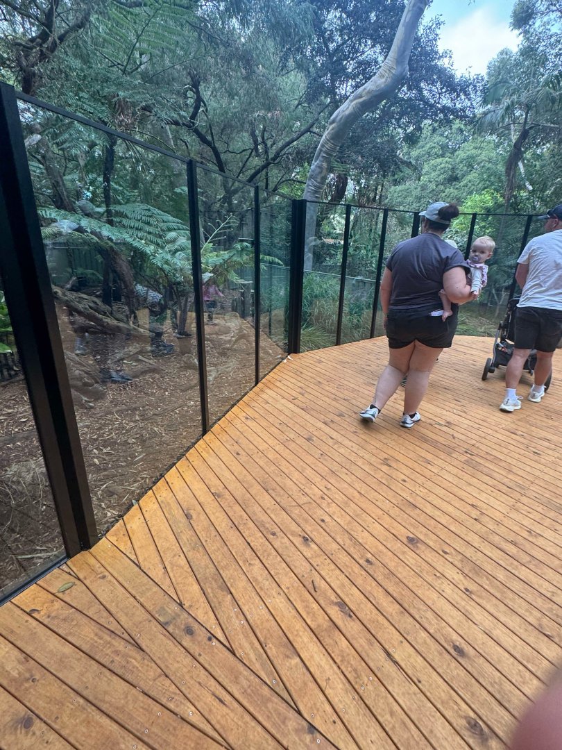 Upgraded Tasmanian Devil habitat and viewing