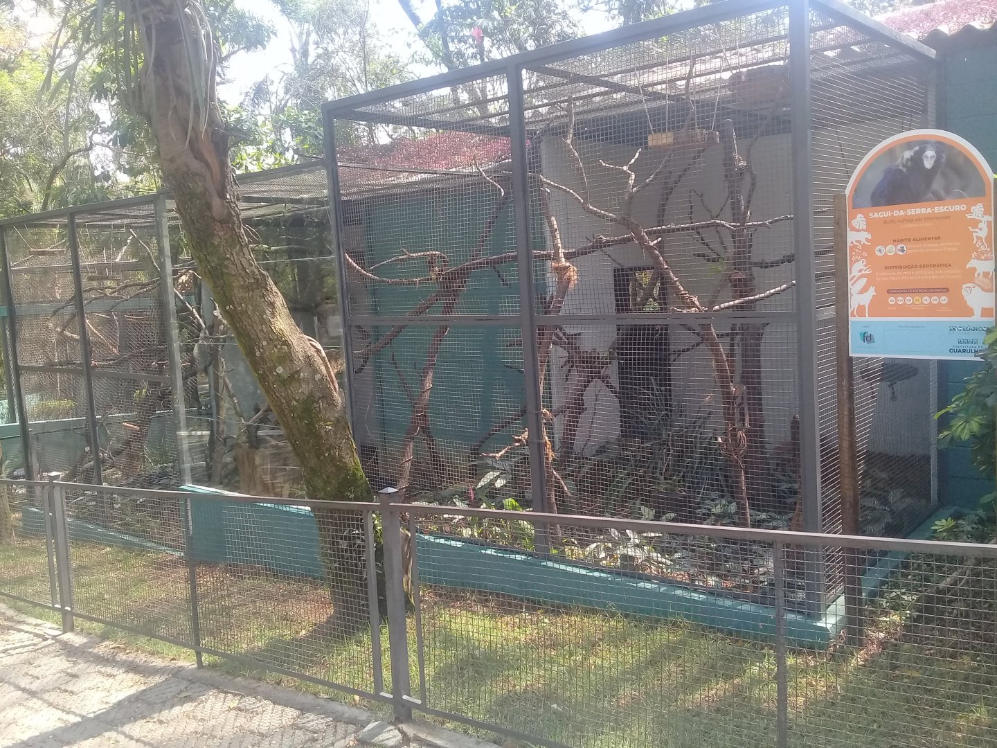 Upgraded tufted-ear marmoset enclosure