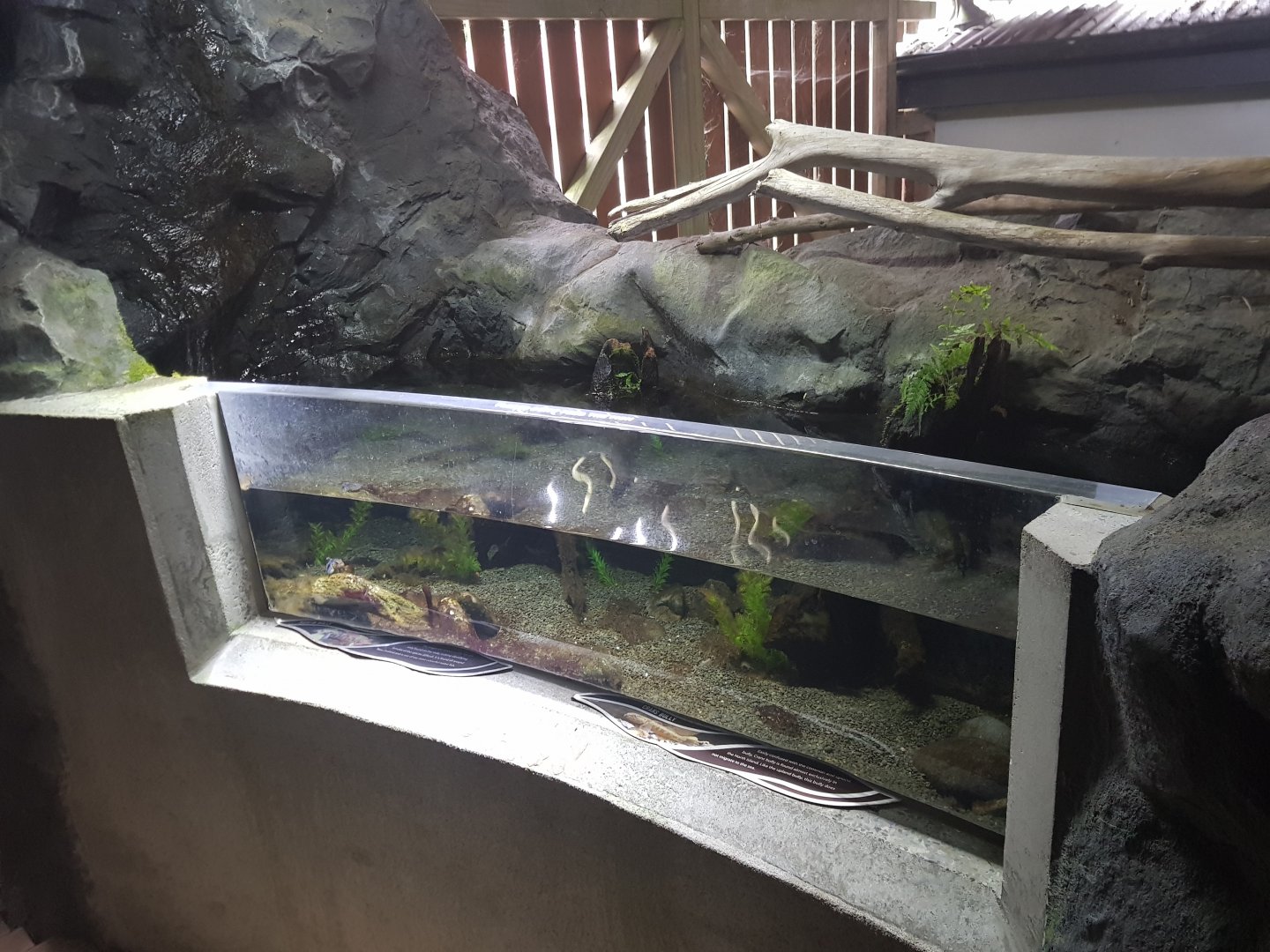 Upland and Cran's Bully Tank- Tongariro National Trout Centre