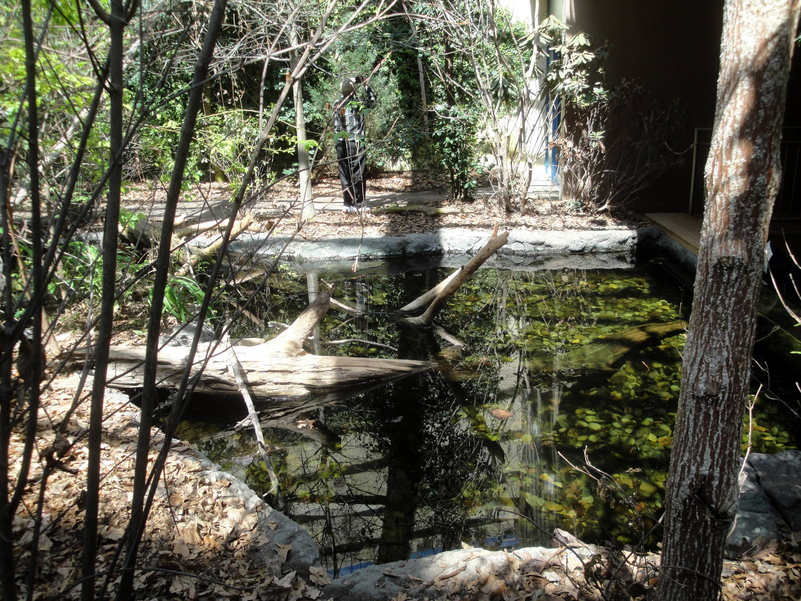 Upland River Exhibit