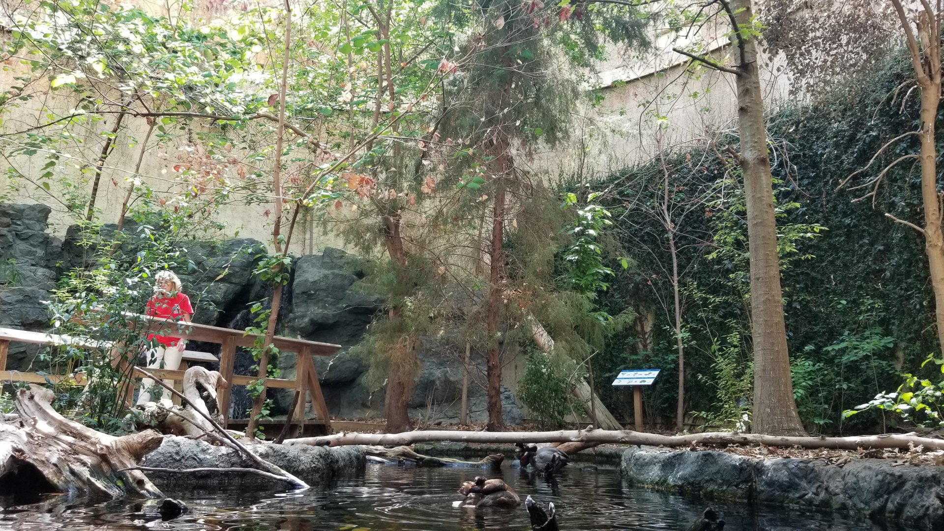 Upland river exhibit