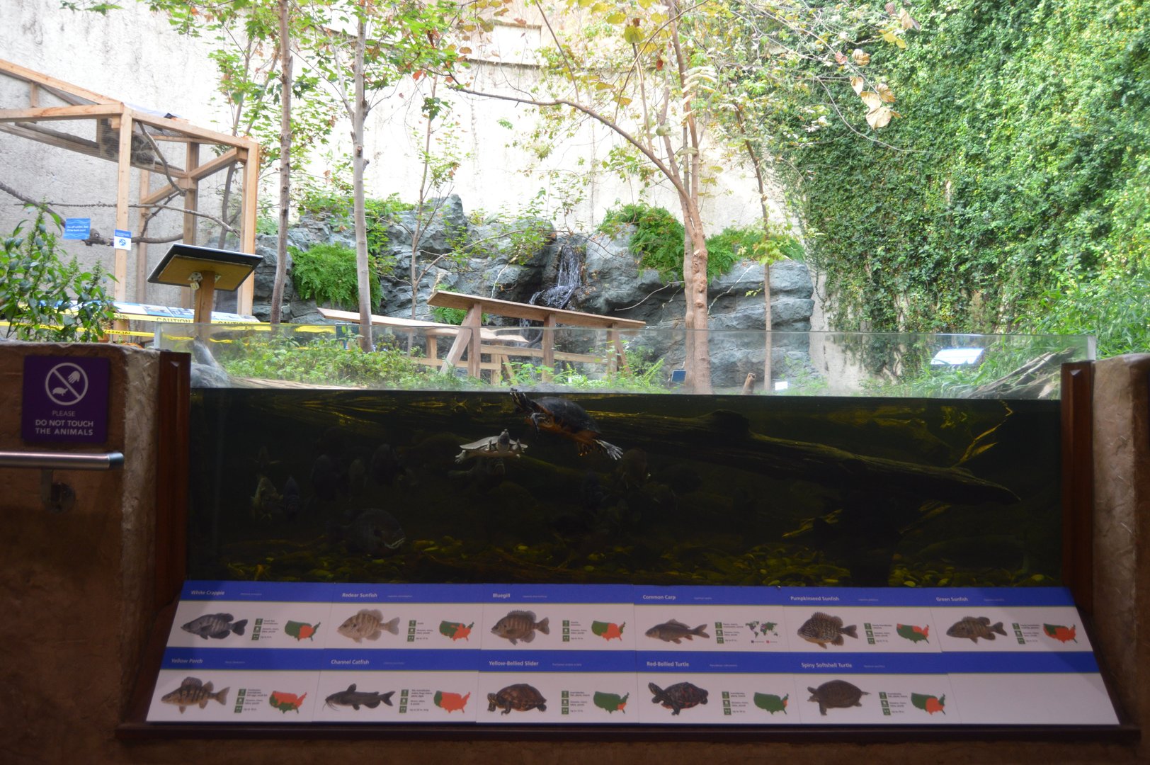 Upland River - Fish and Turtles Exhibit