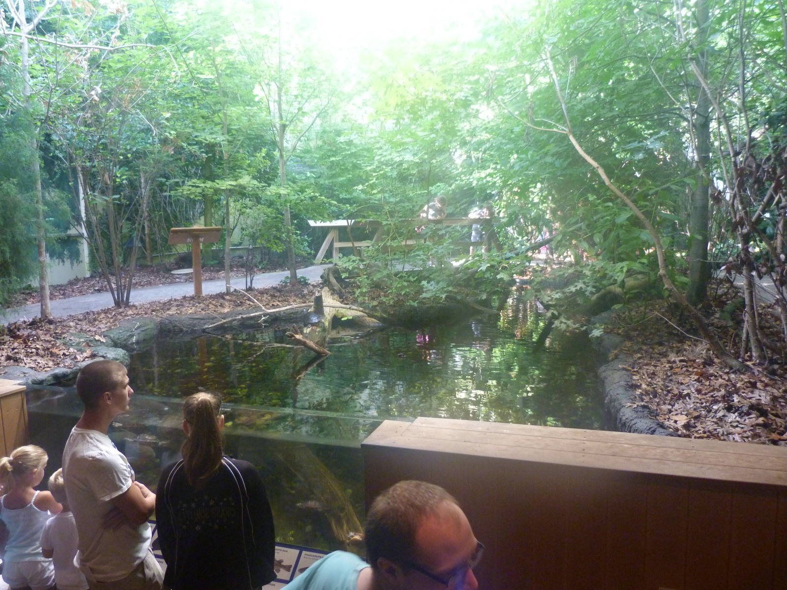 Upland Rivers Exhibit 7-18-19