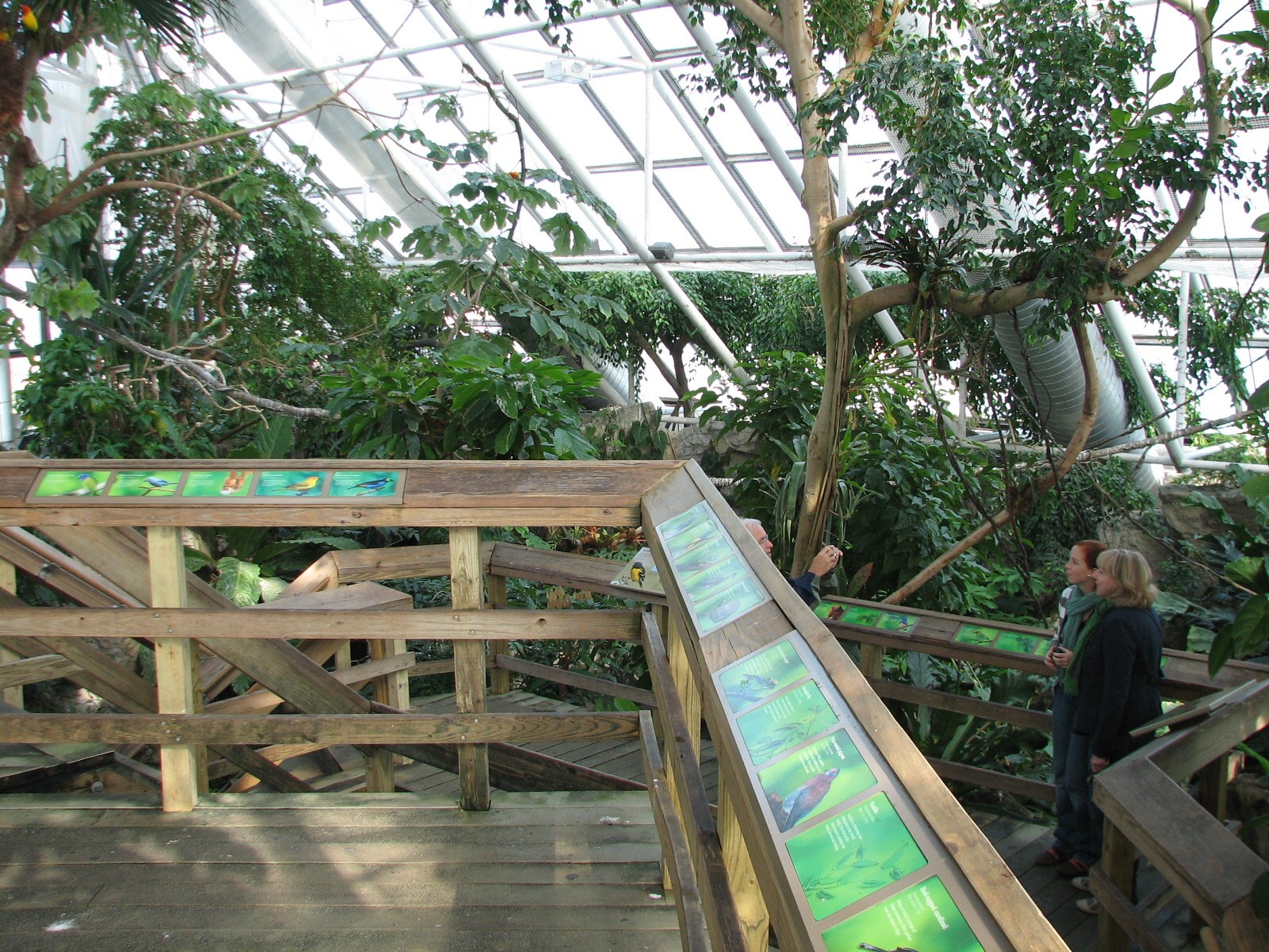 Upland Tropical Rainforest Exhibit