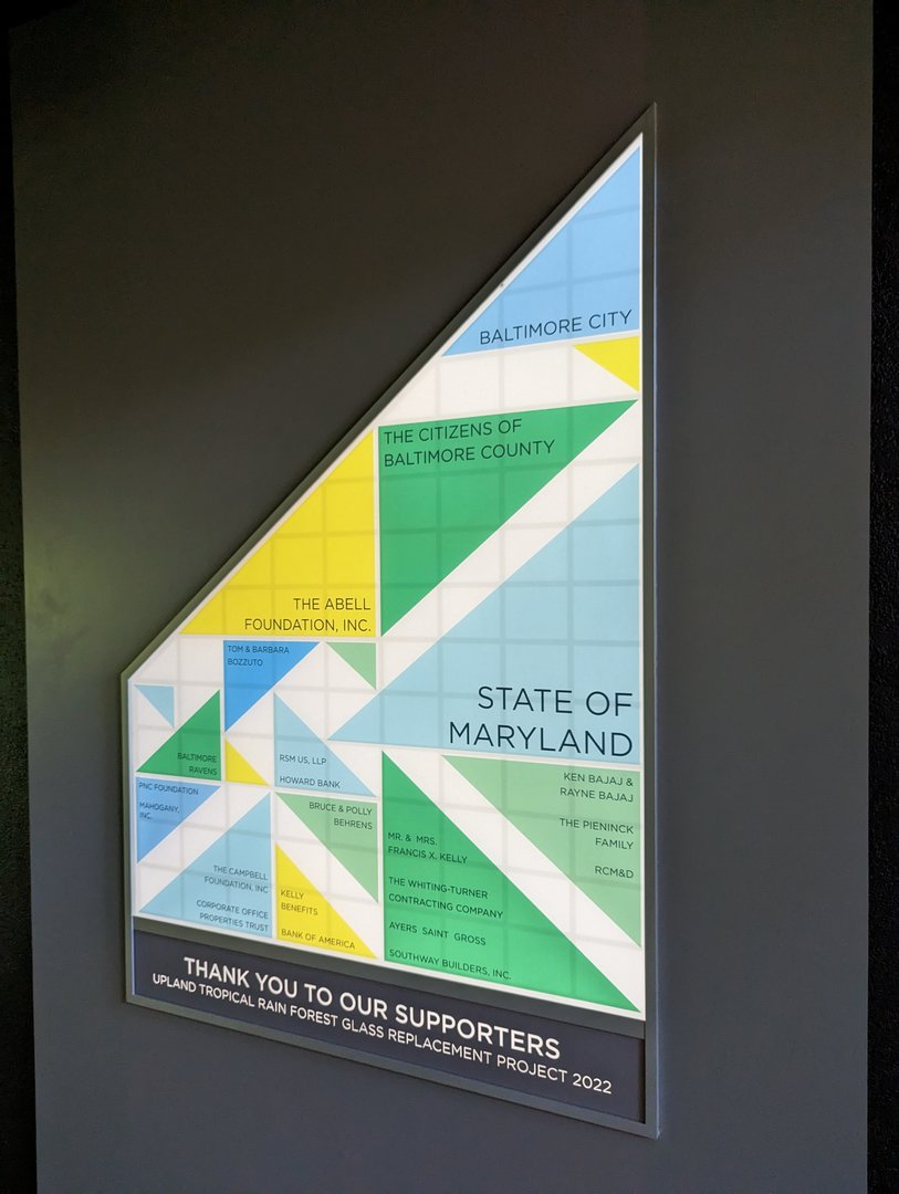 Upland Tropical Rainforest