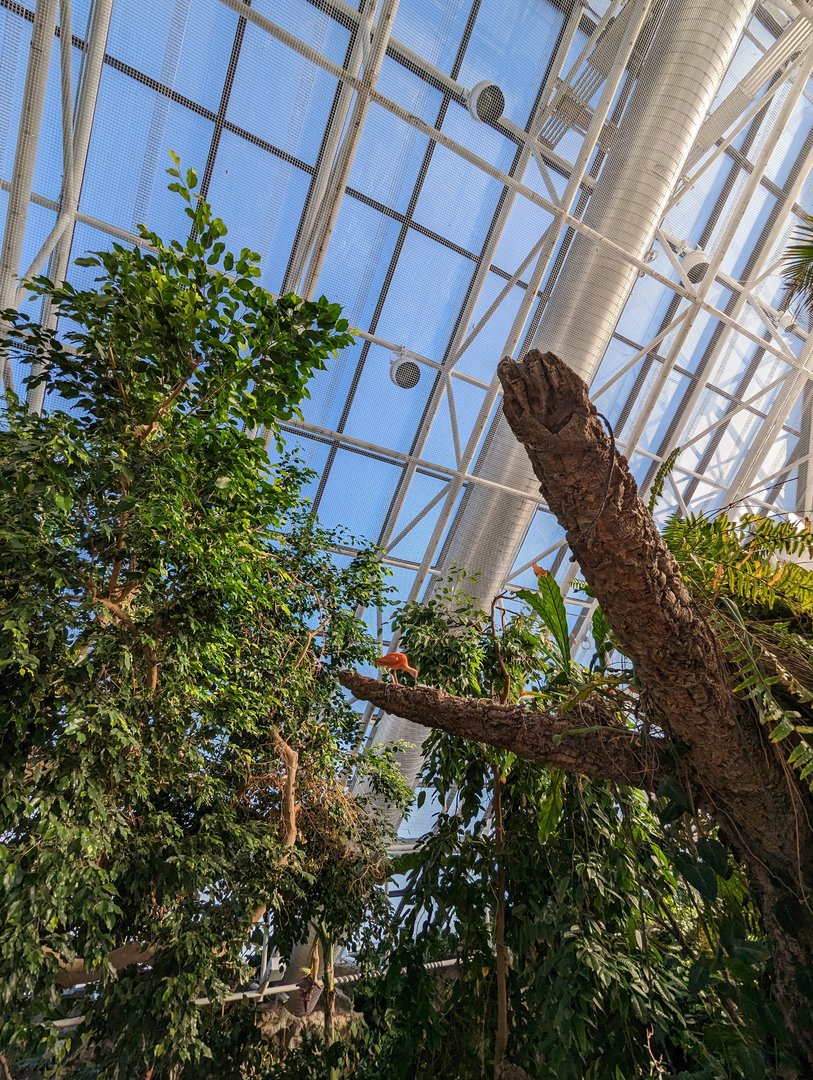 Upland Tropical Rainforest