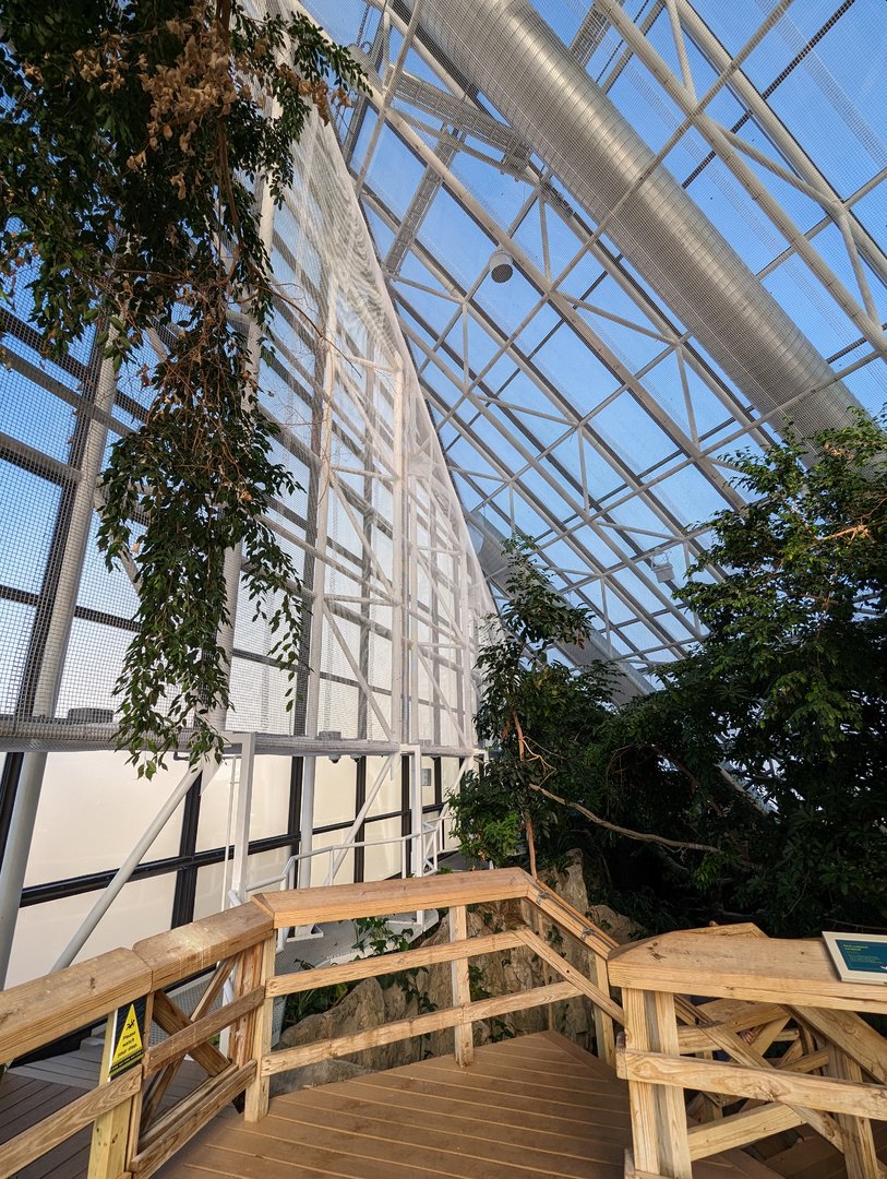 Upland Tropical Rainforest