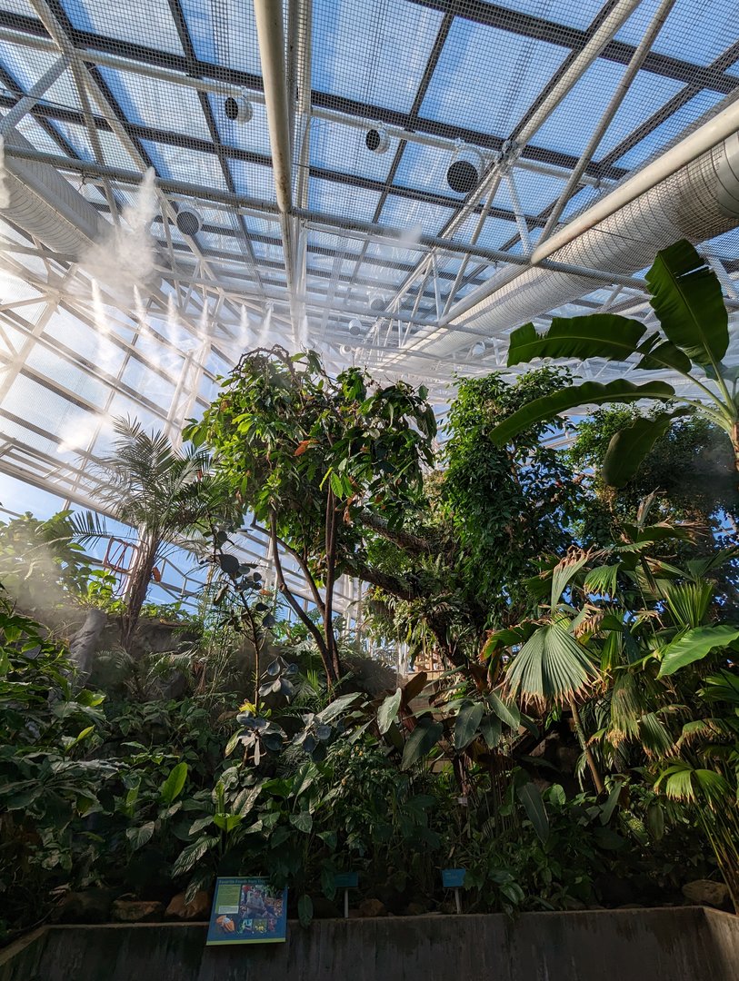 Upland Tropical Rainforest