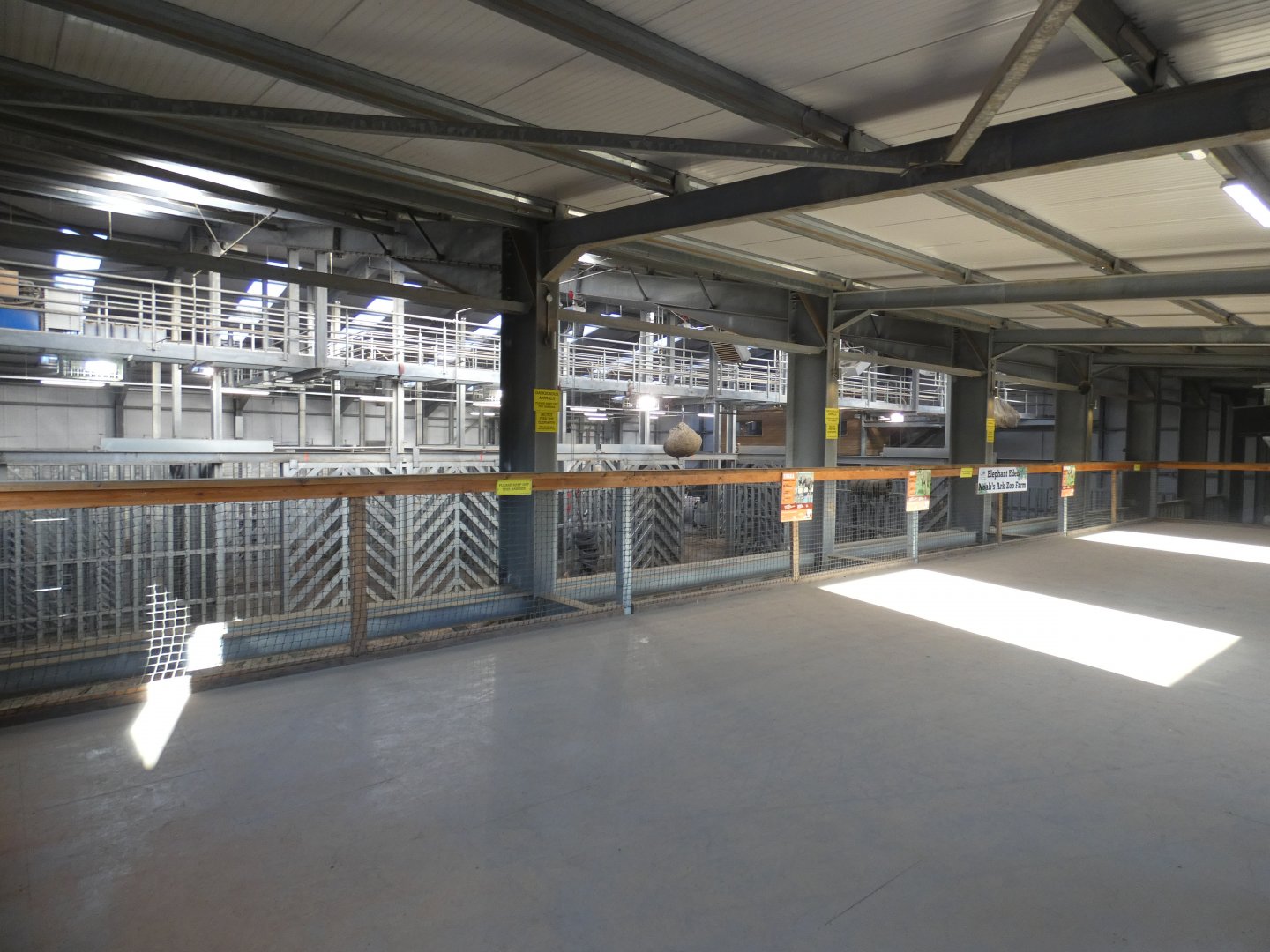 Upper African Elephant viewing area