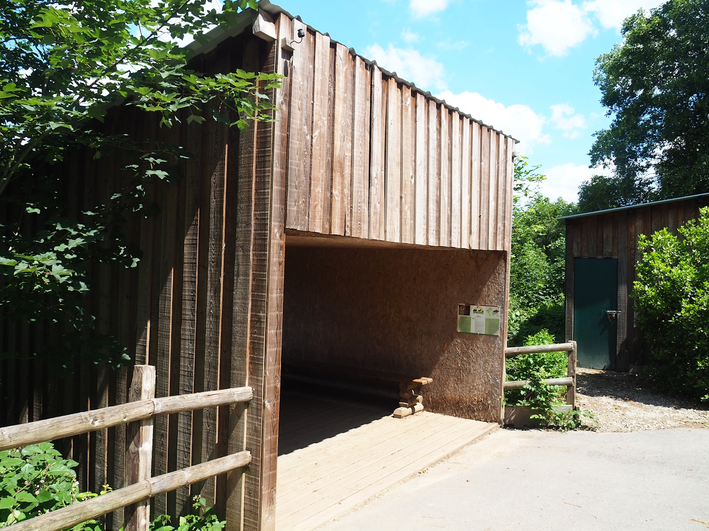 Upper Amur tiger viewing area, 2023-06-24