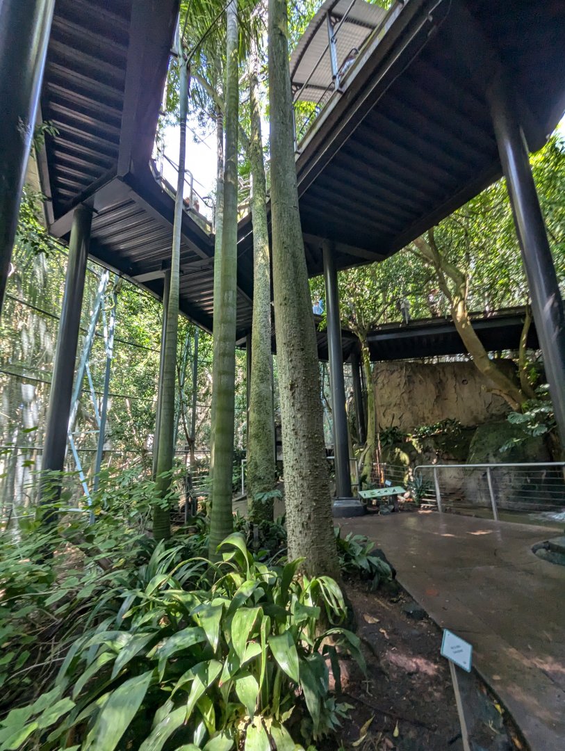 Upper and Lower Viewing Area - Monkey Trails and Forest Tales