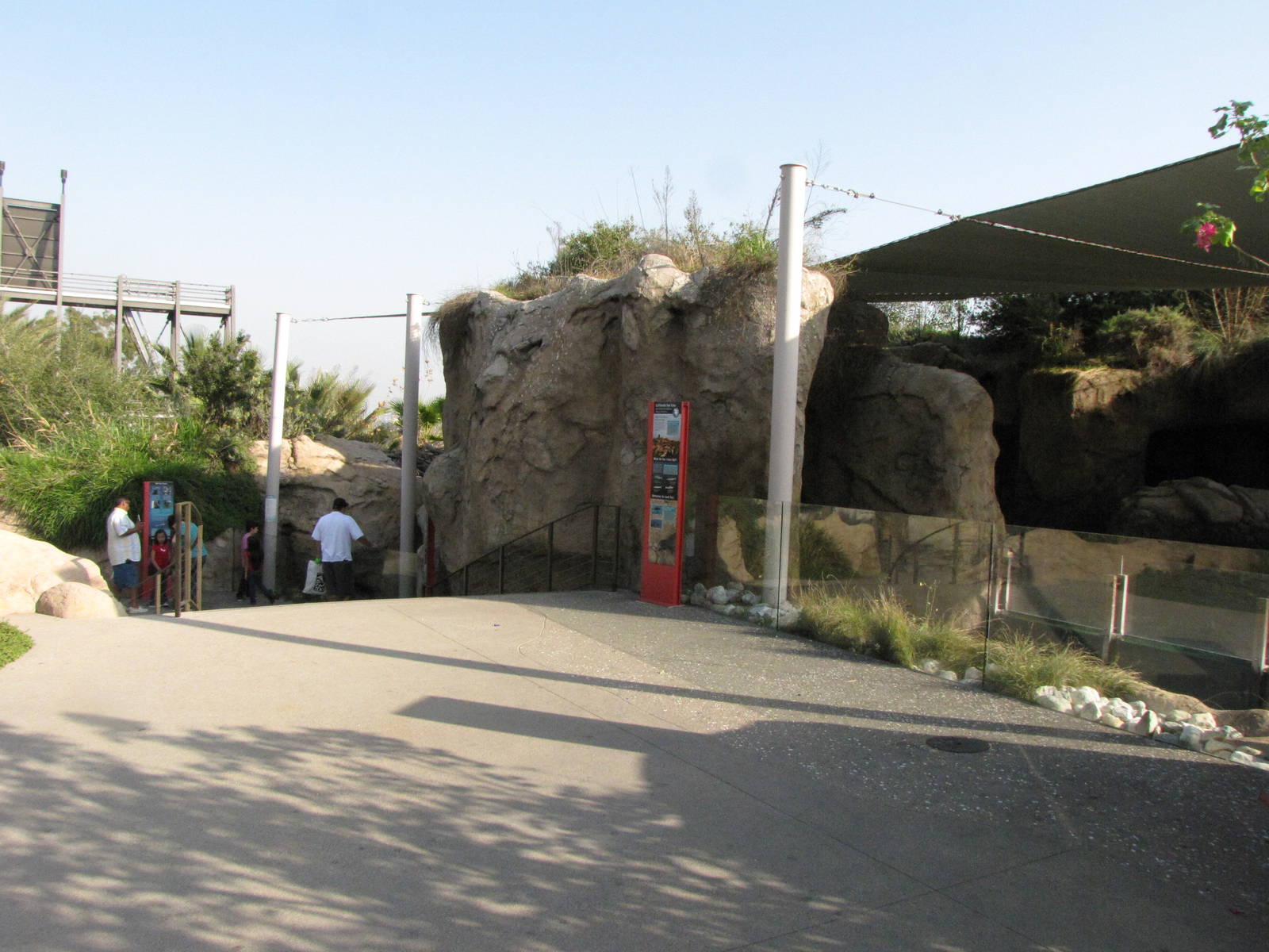 Upper and Middle Level Viewing: Sea Life Cliffs