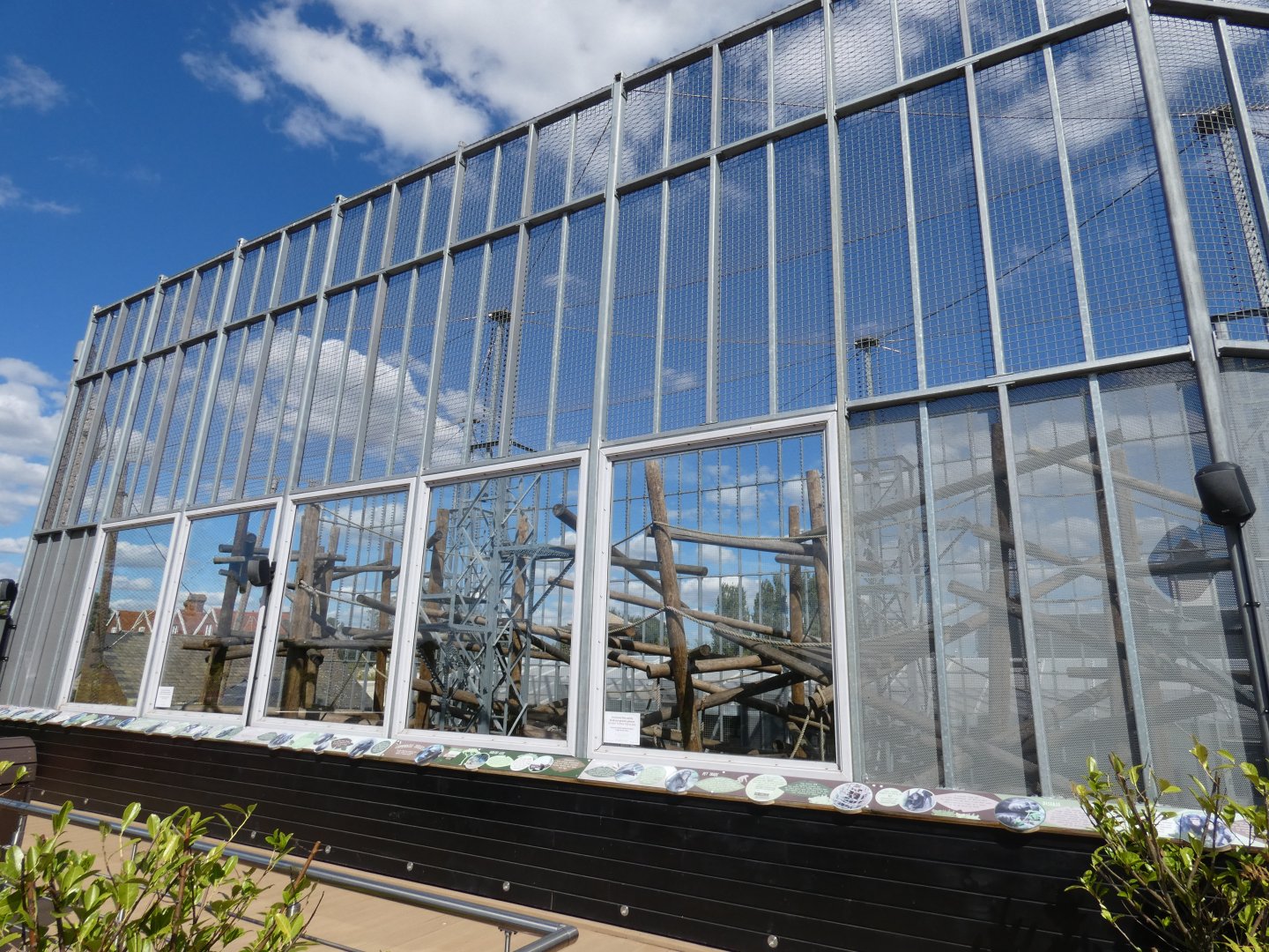Upper Chimpanzee outdoor viewing area