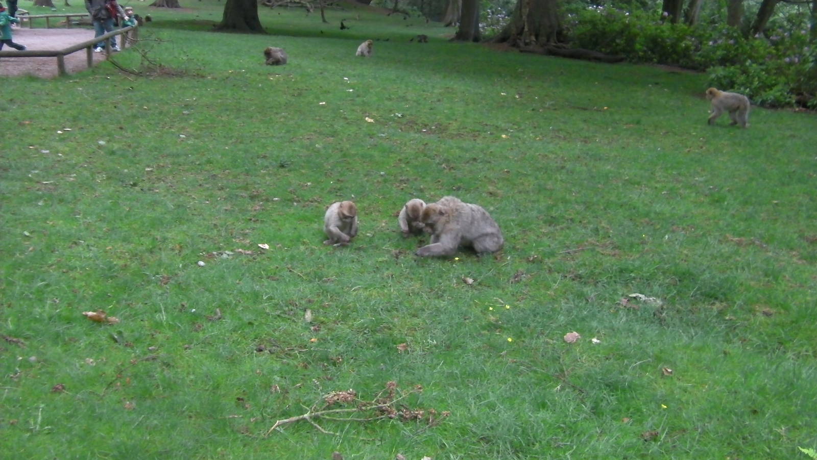 Upper Feeding Area - 02.06.2012