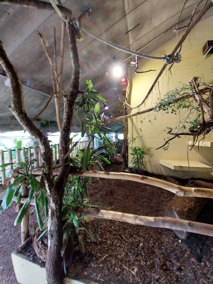 Upper floor Dschungelhaus