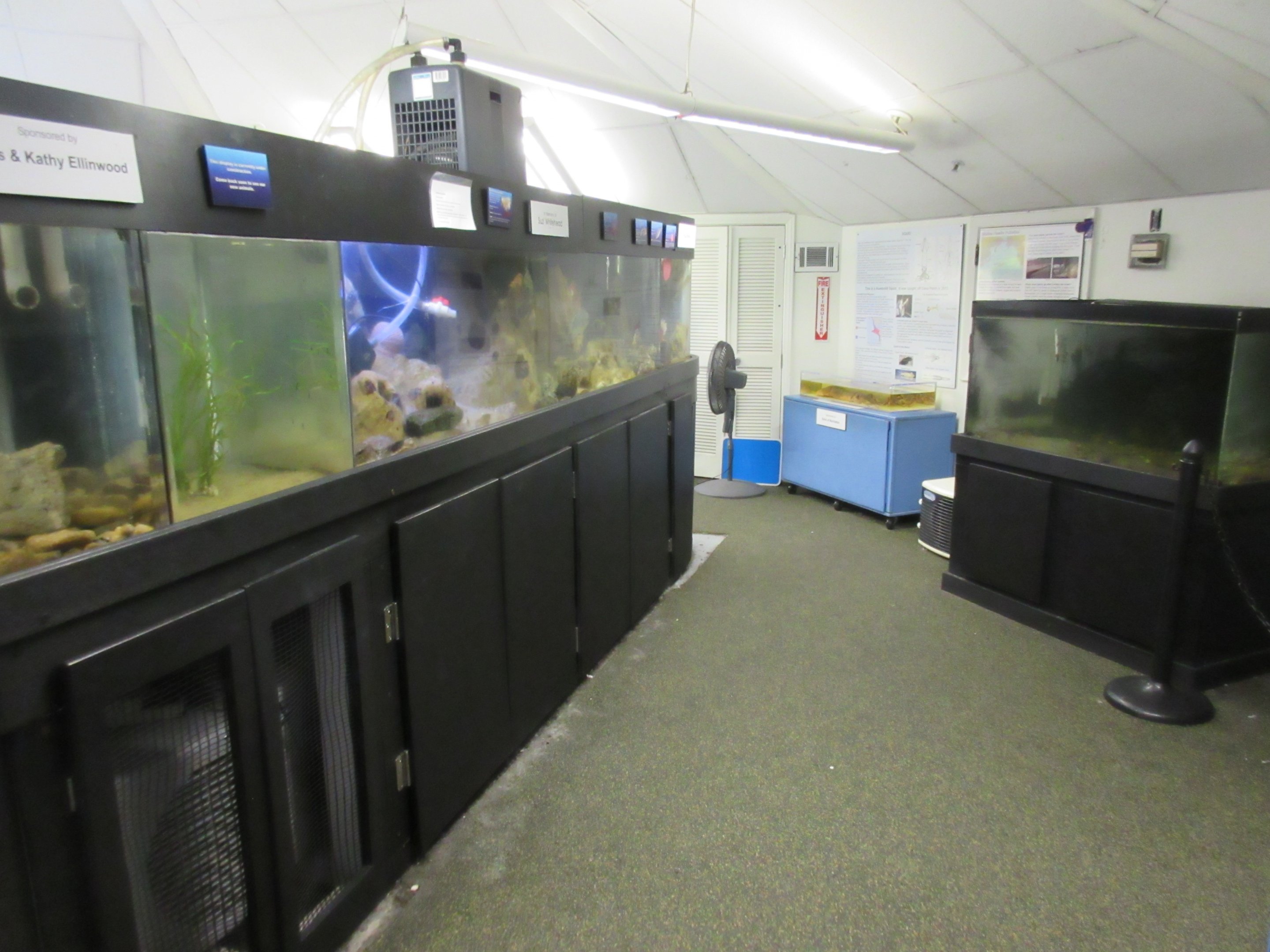 Upper Floor Exhibits