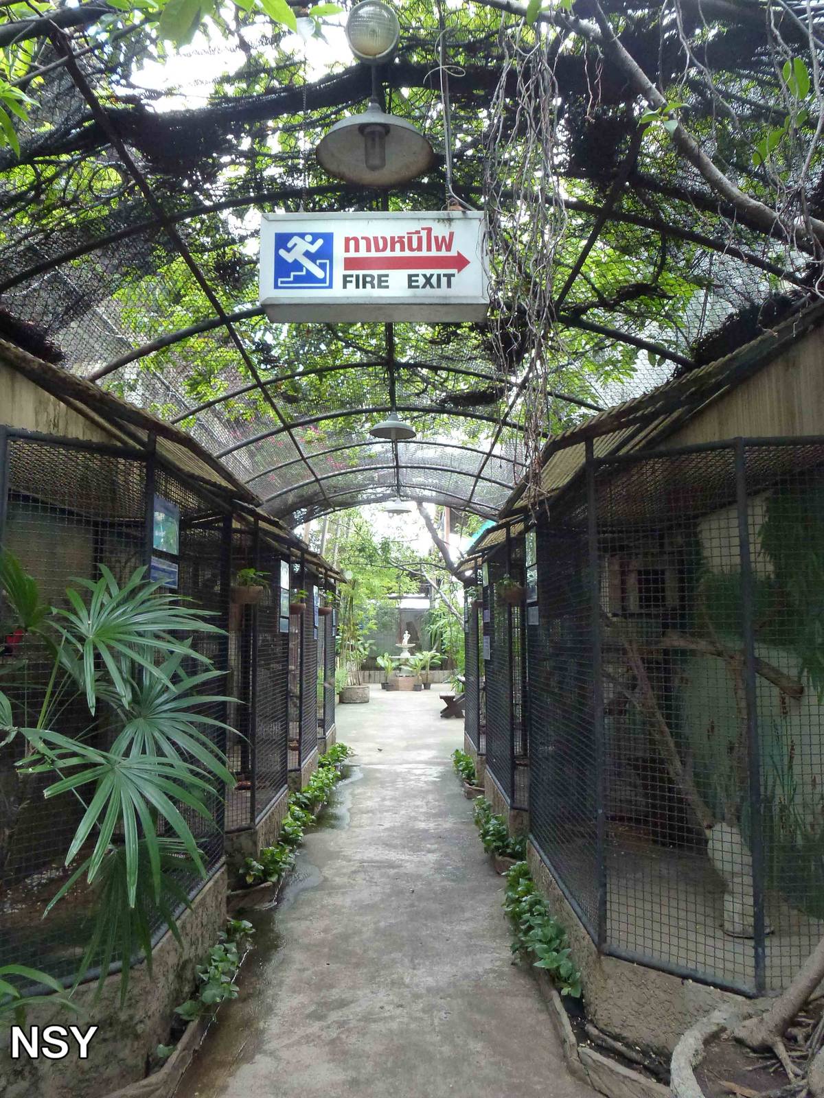 Upper floor, June 2013.