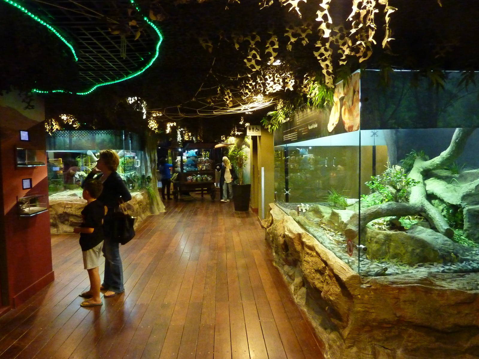 Upper floor (reptile enclosures)