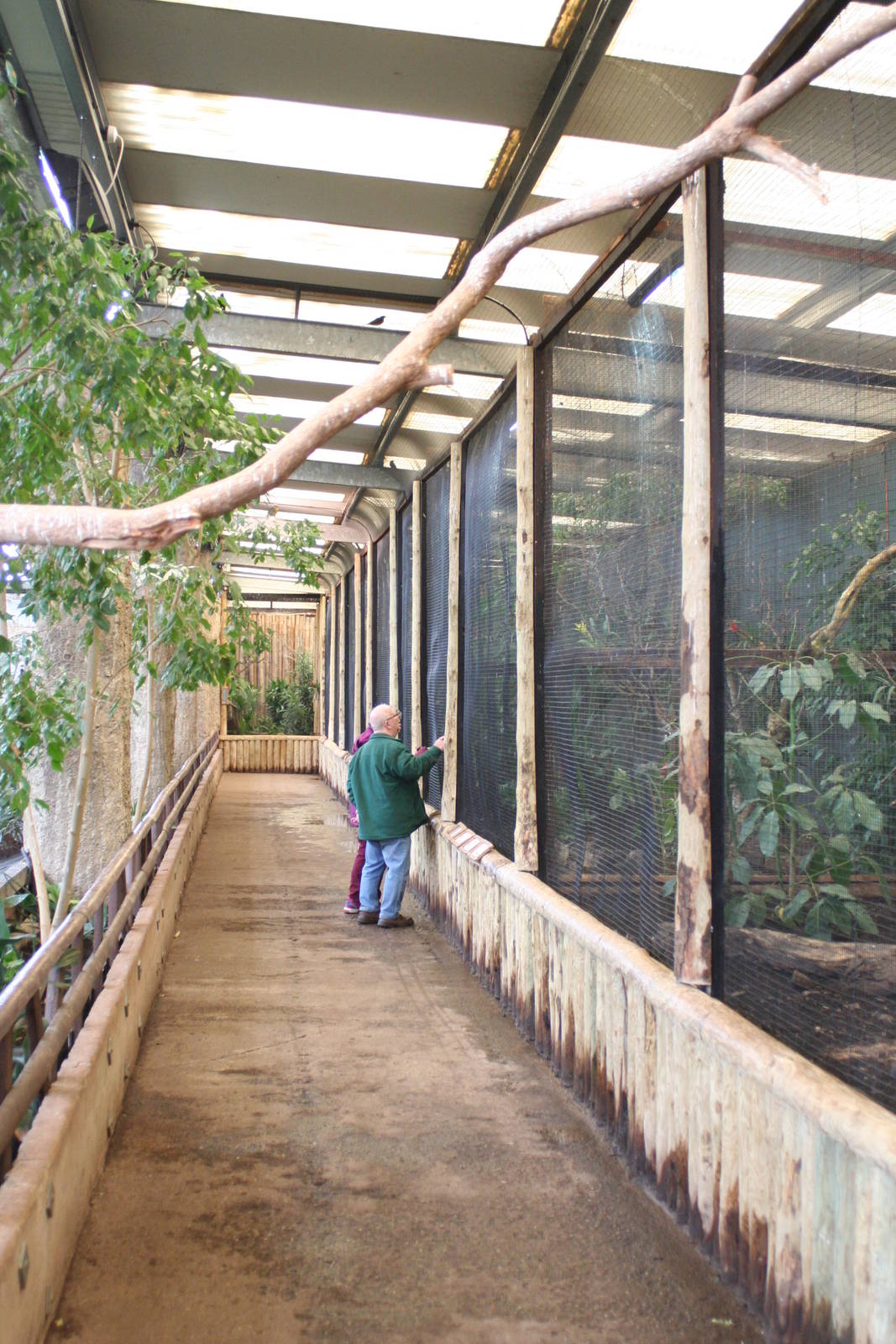 Upper gallery aviaries inside Tropical Realm @ Chester; 02.04.2015