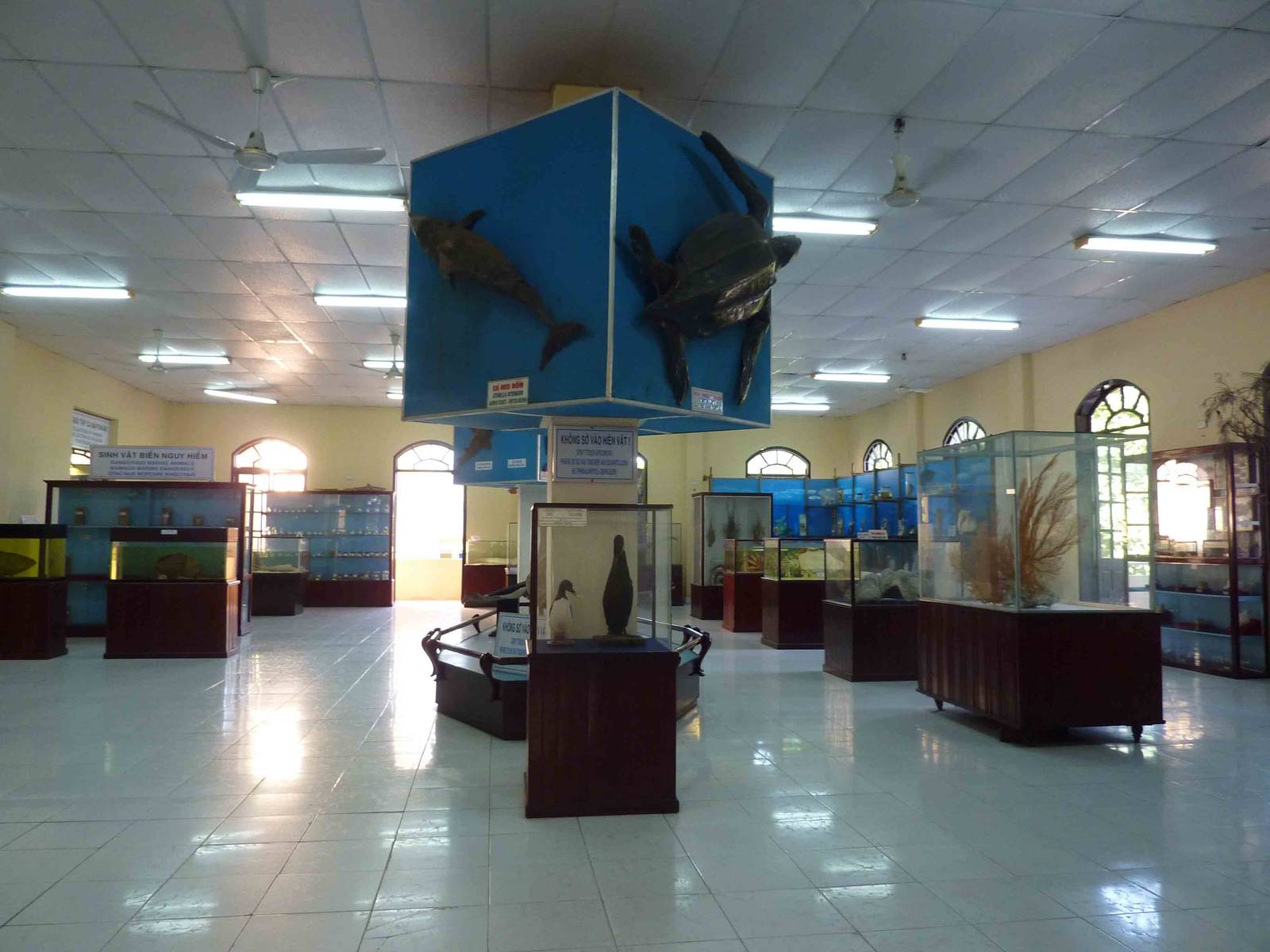 Upper hall, May 2013.