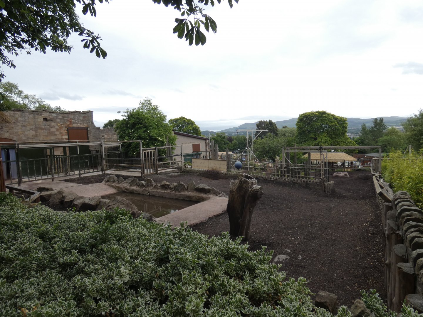 Upper Indian rhino enclosure