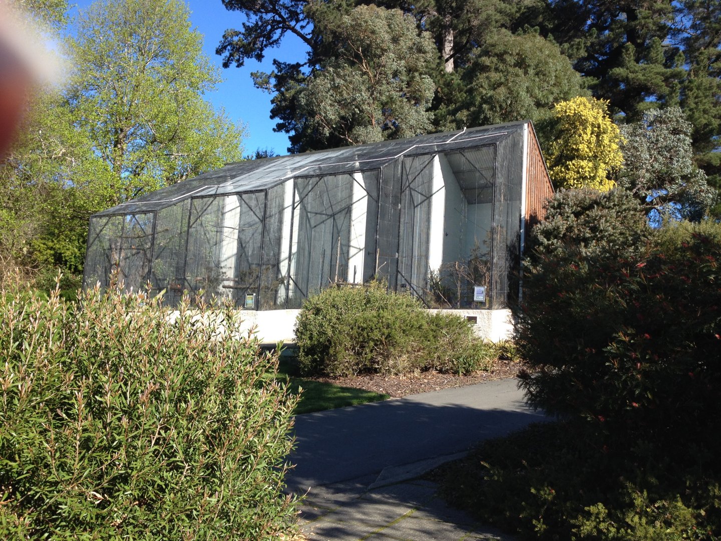 Upper Level aviaries