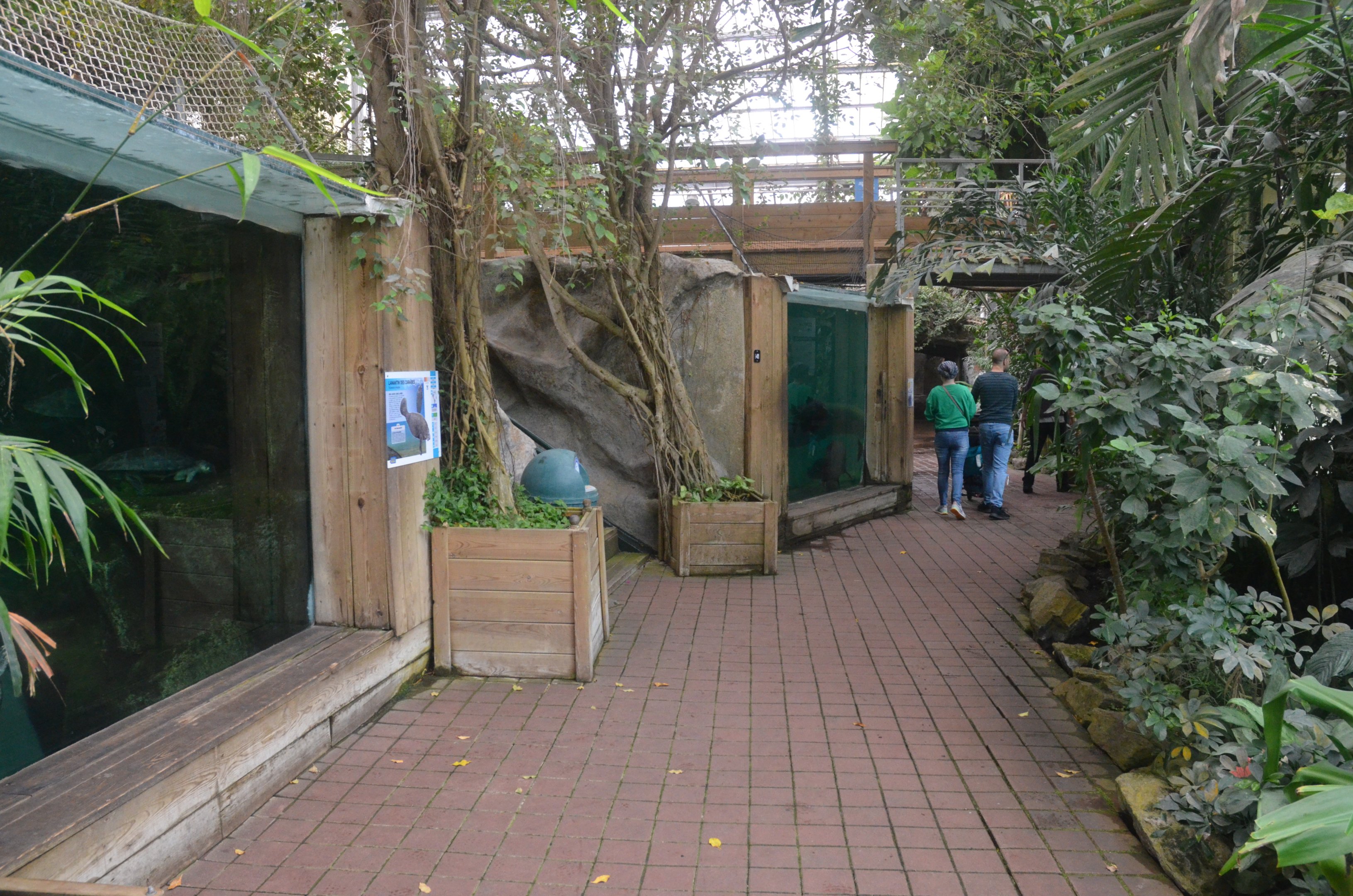 Upper Level Manatee Viewing at Beauval, 12/06/18