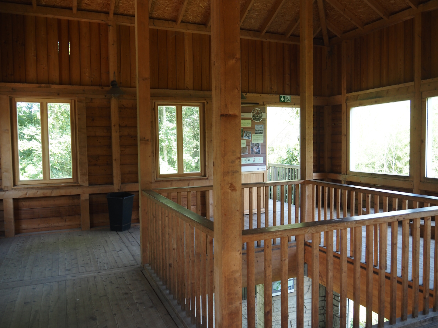 Upper level of Amur tiger viewing area, 2024-06-08