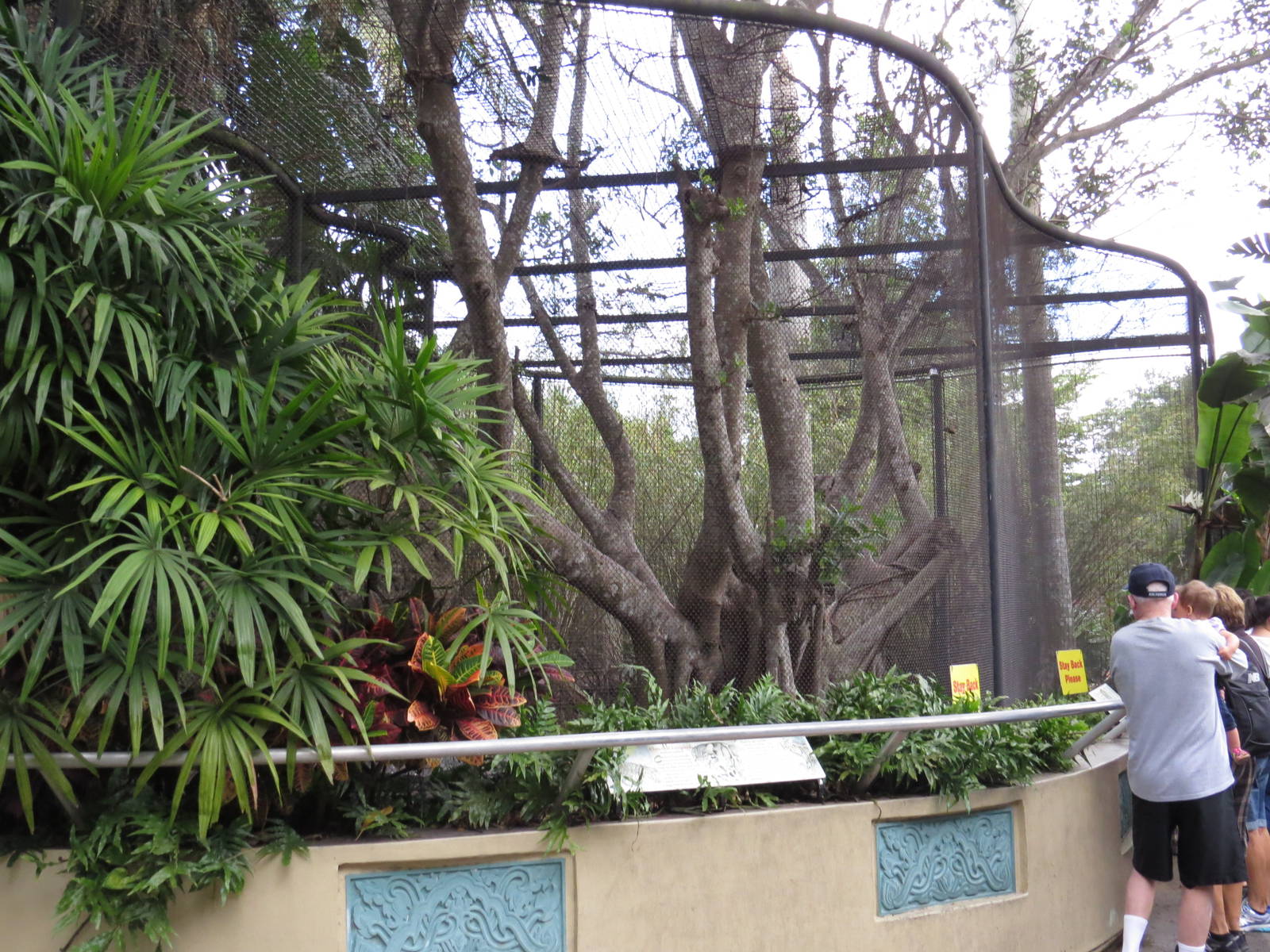 Upper level of clouded leopard enclosure, March 2015