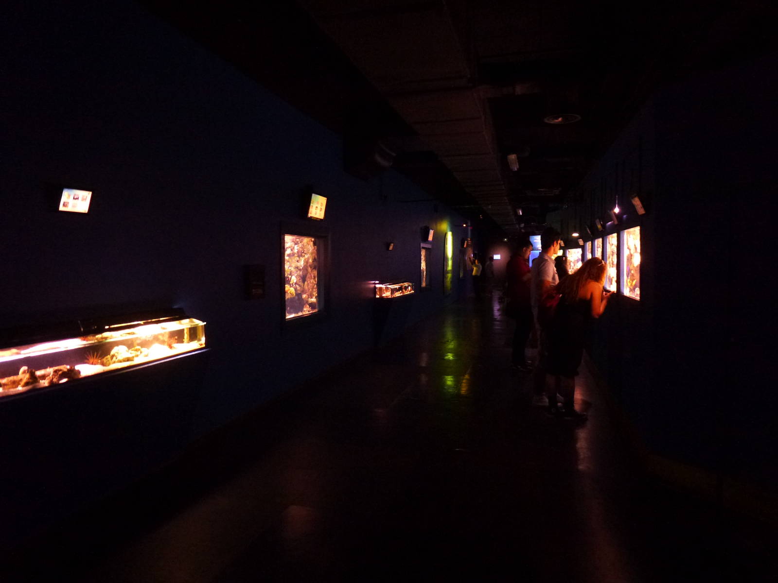 Upper level tanks, June 2013.