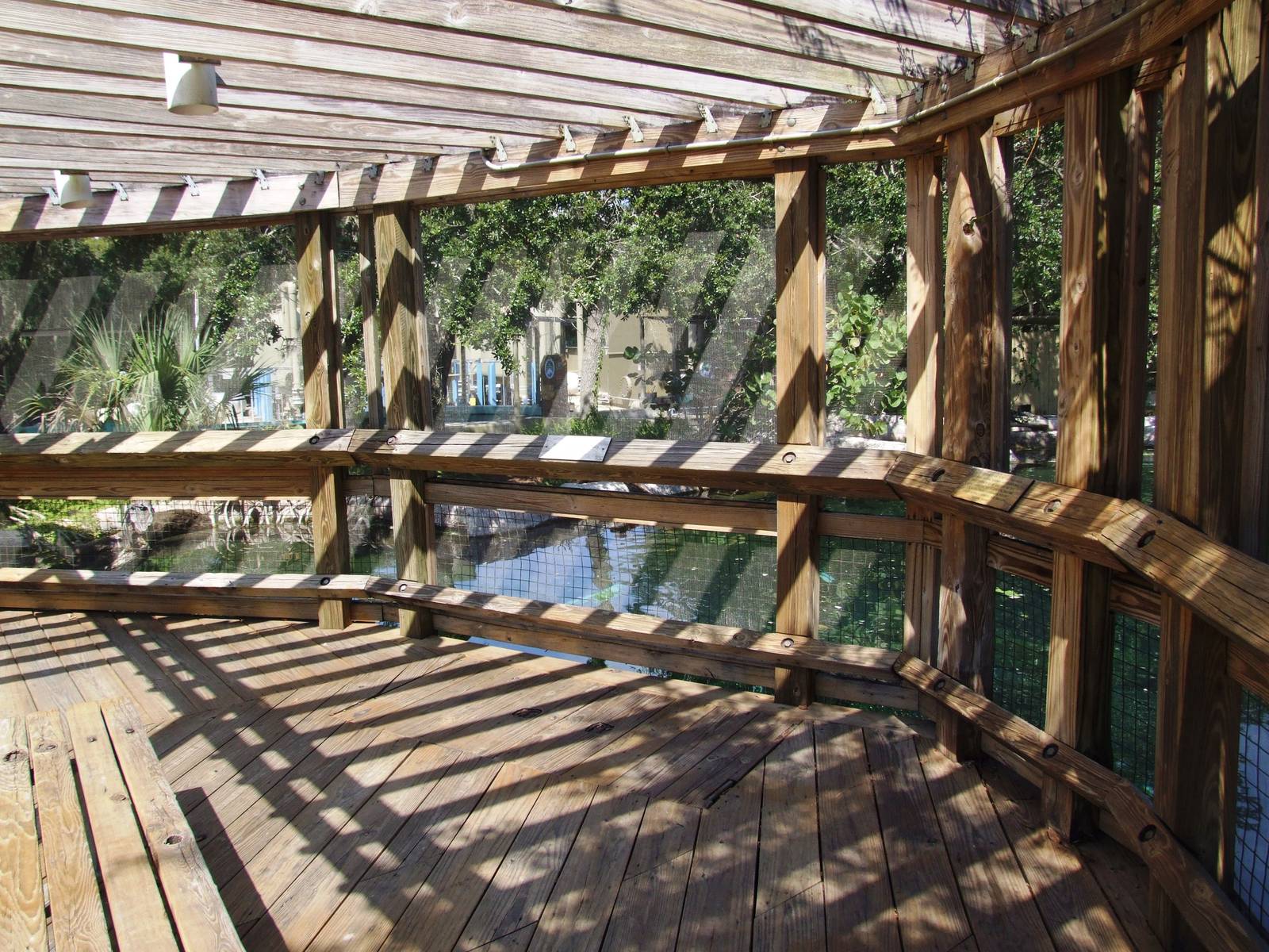 Upper Manatee Viewing Deck at Lowry Park, 13/10/13