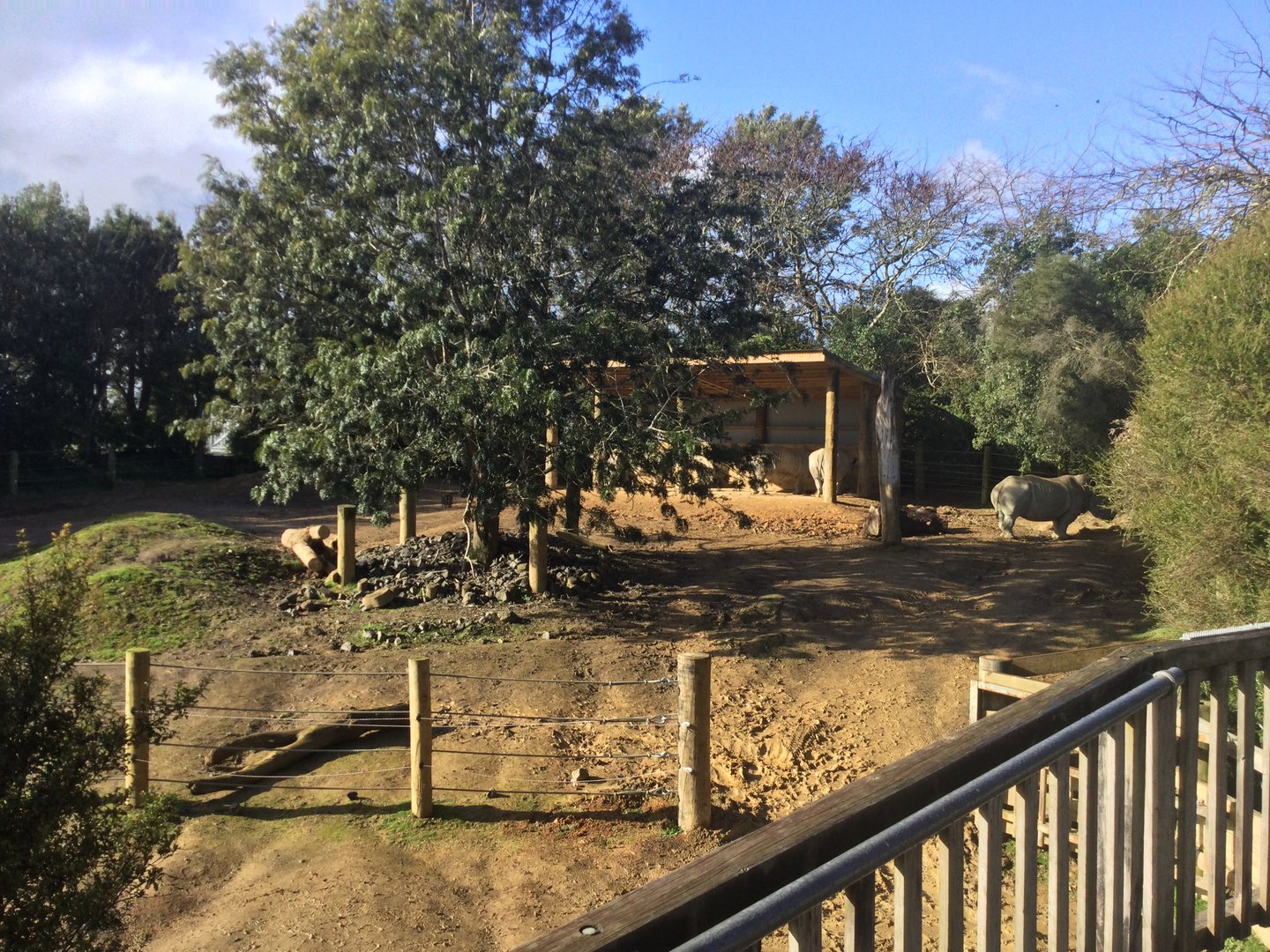 Upper Paddock - Southern White Rhinoceros Exhibit