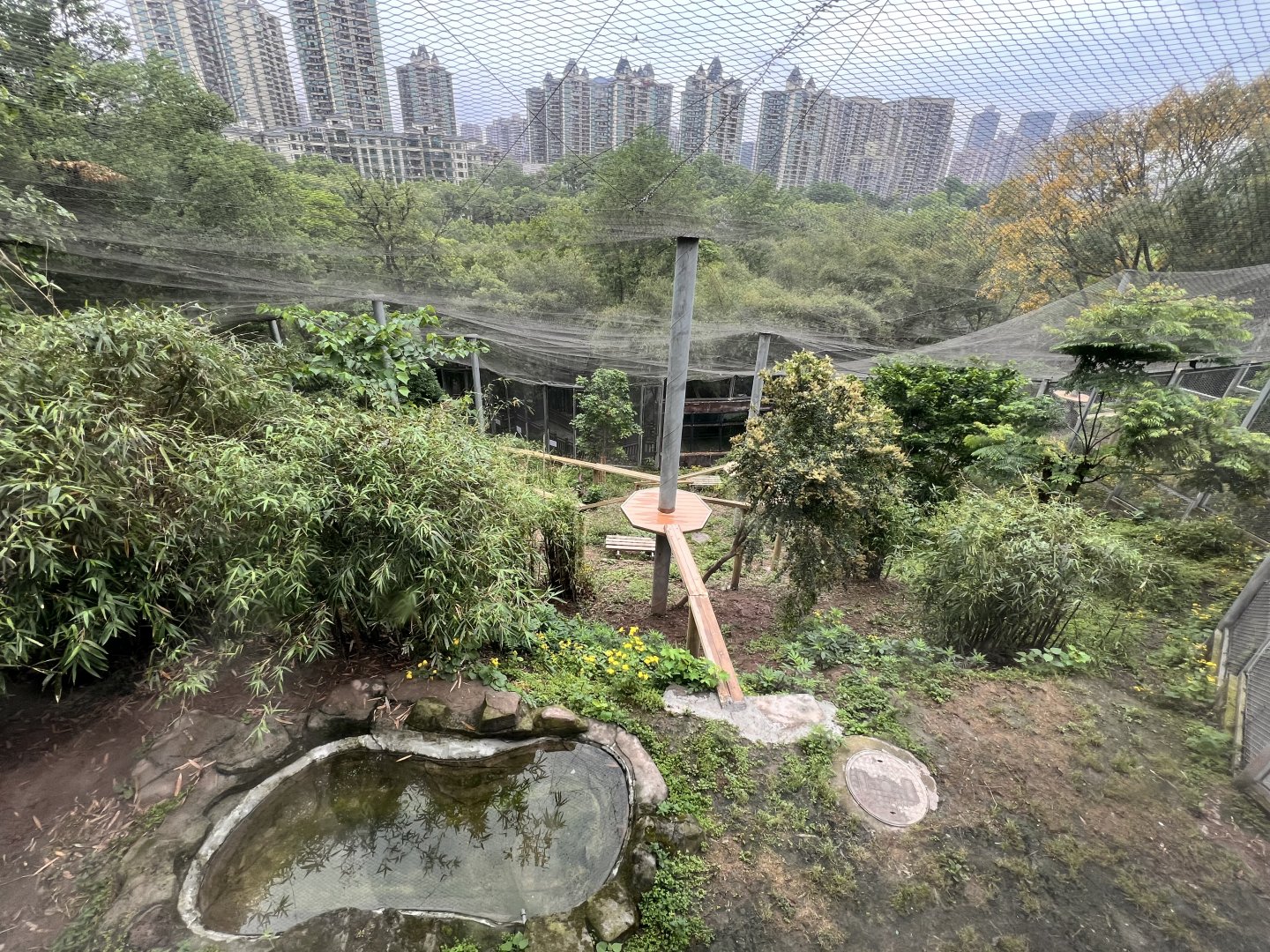 Upper Part of Jaguar Exhibit