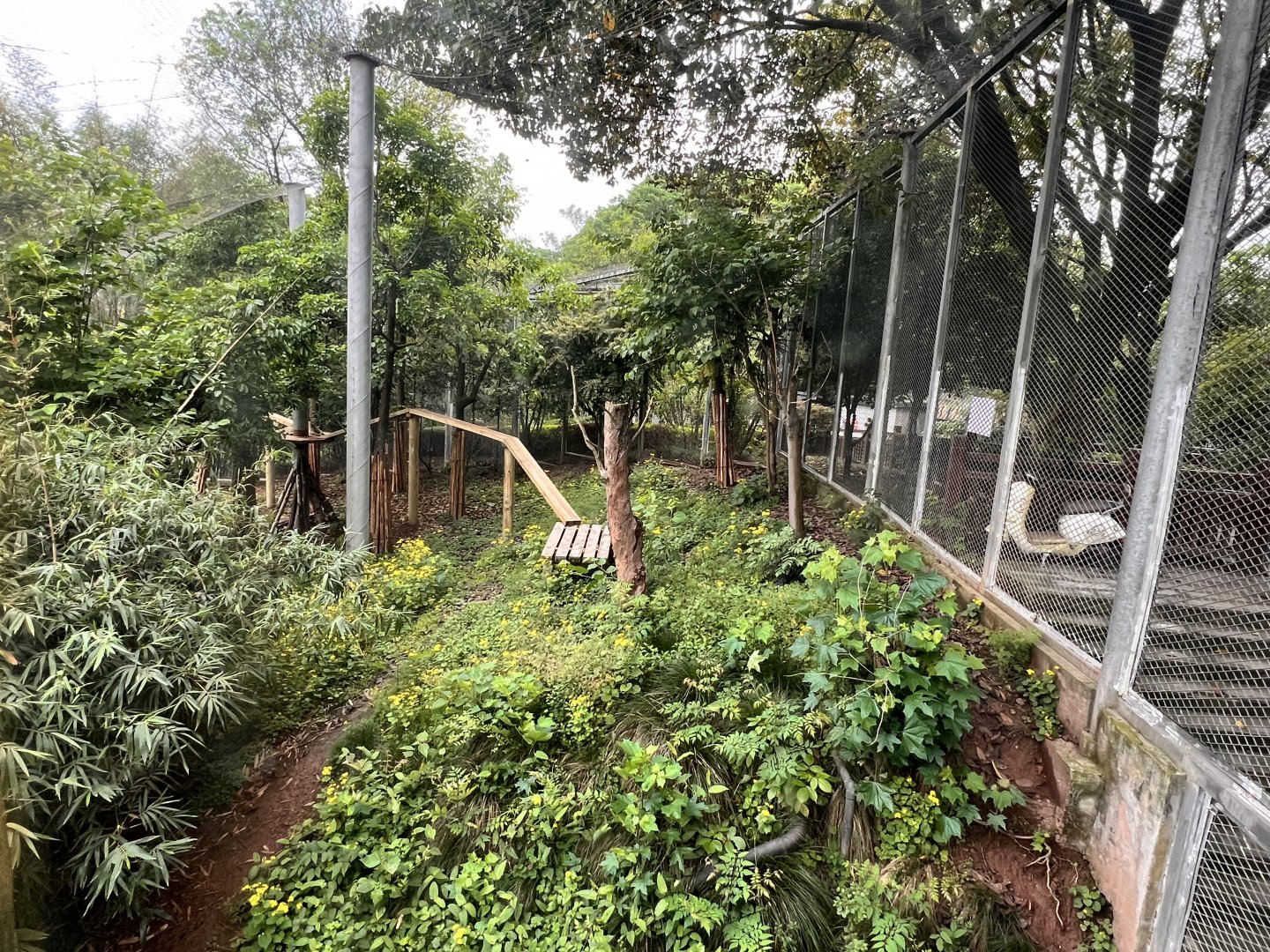 Upper Part of Leopard Exhibit