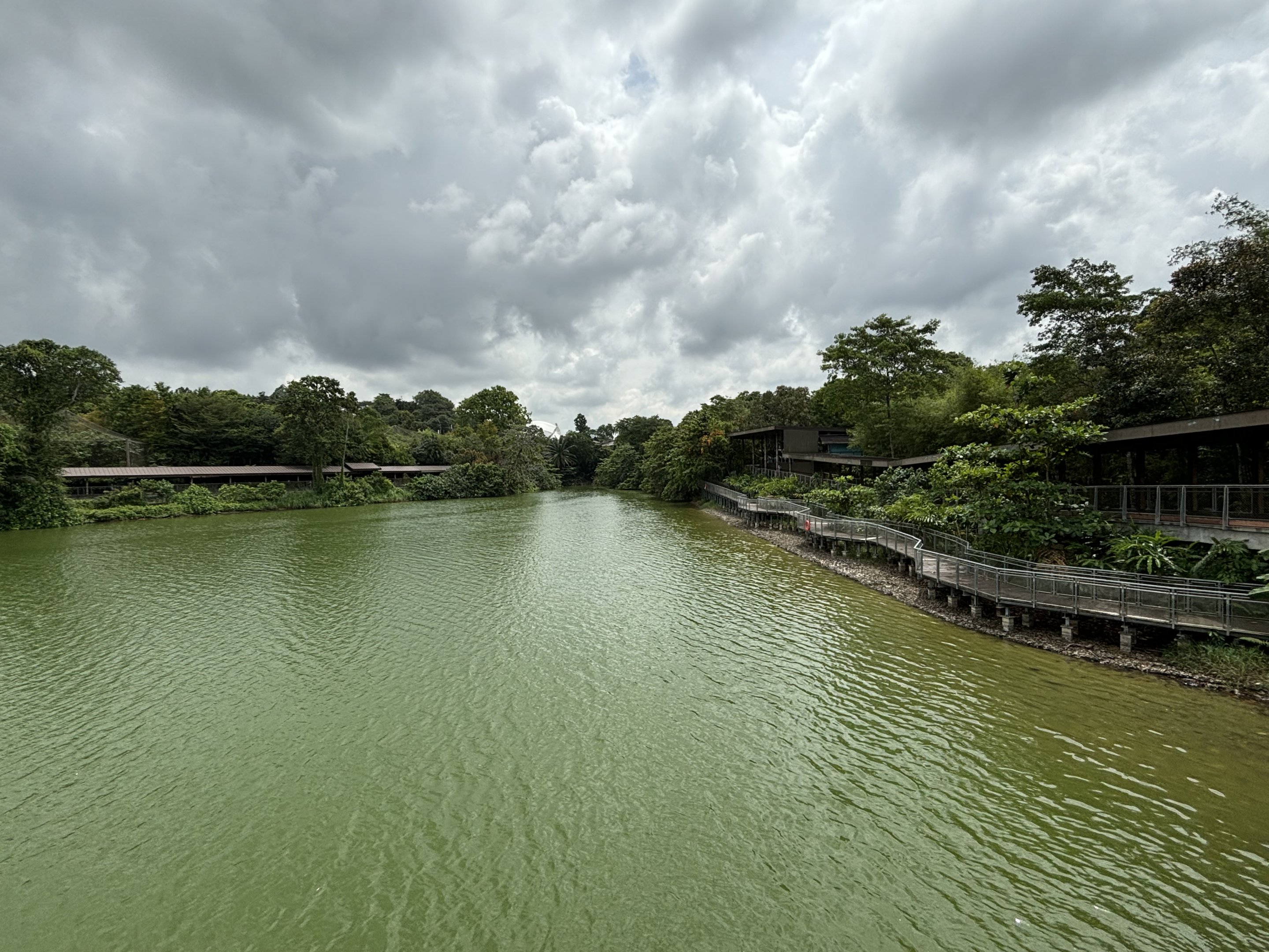 Upper Seletar Reservoir