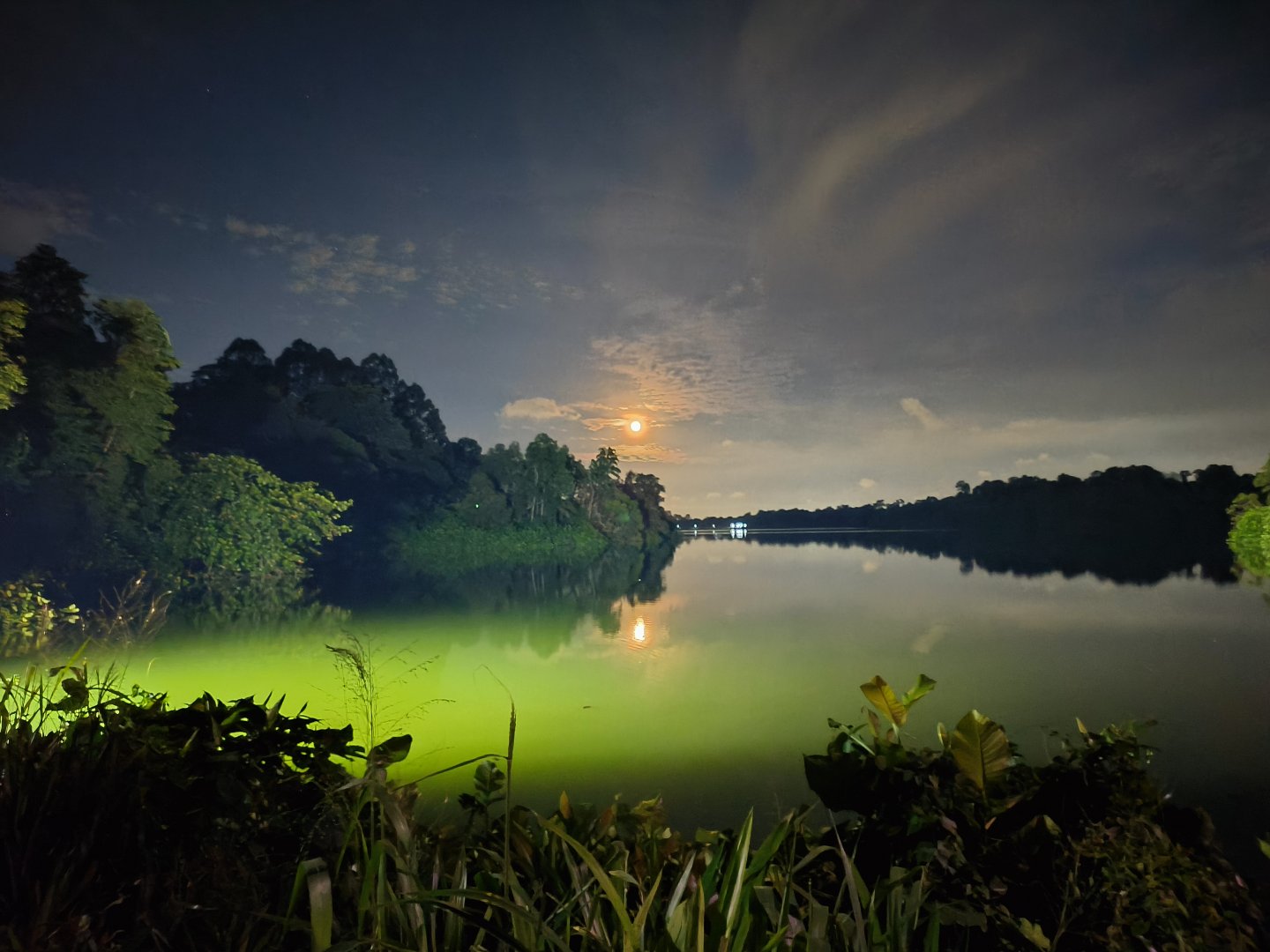 Upper Seletar Reservoir
