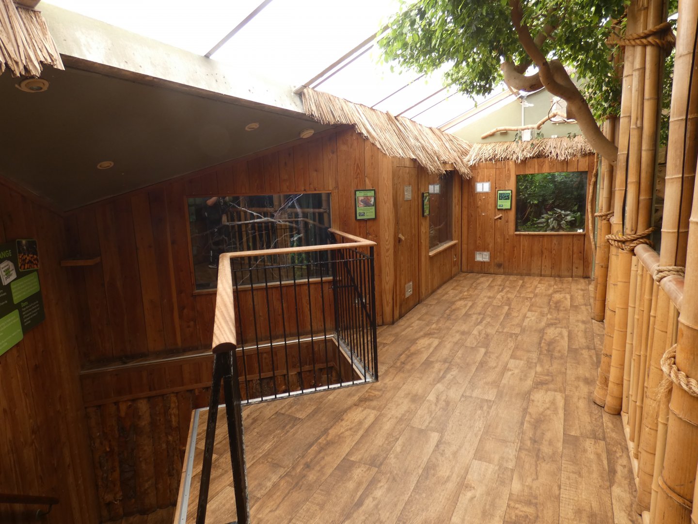 Upper Tropical House viewing area