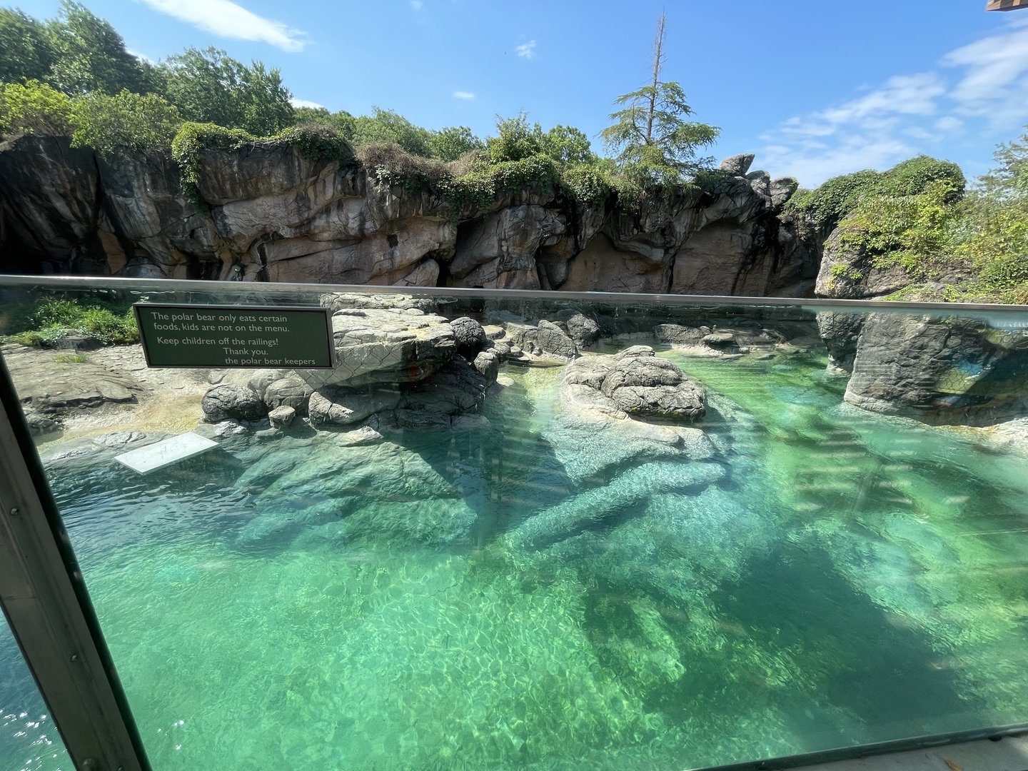 Upper Vantage Point of 1st Polar Bear Enclosure (No Show)