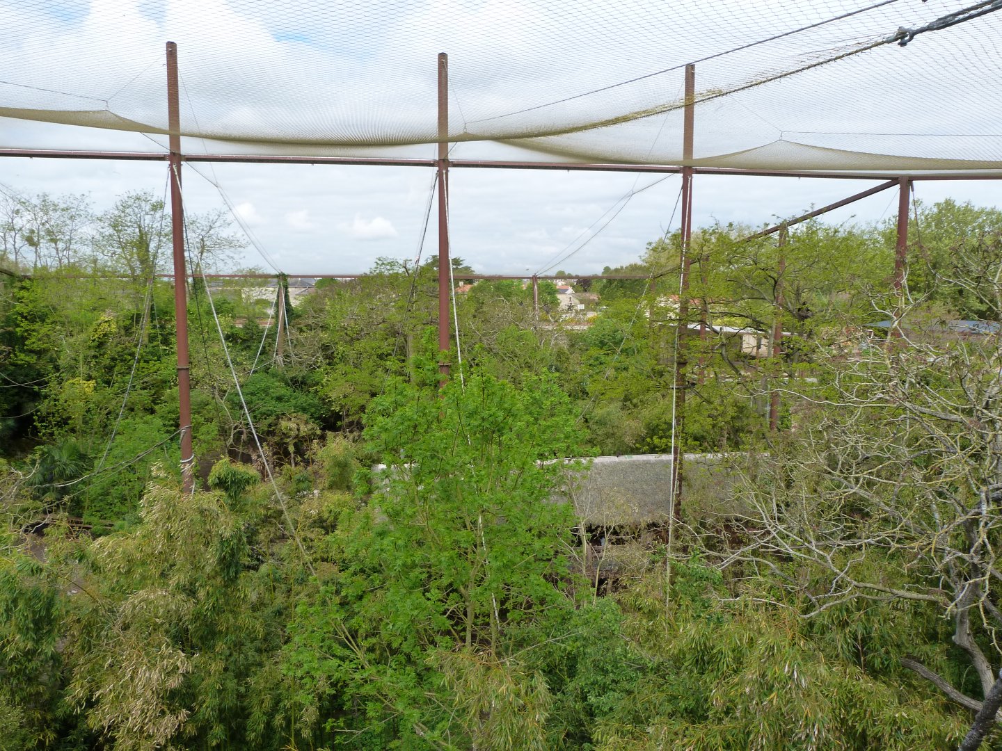 Upper view of "Le Sanctuaire des okapis" -Bioparc de Doué la Fontaine (2025)