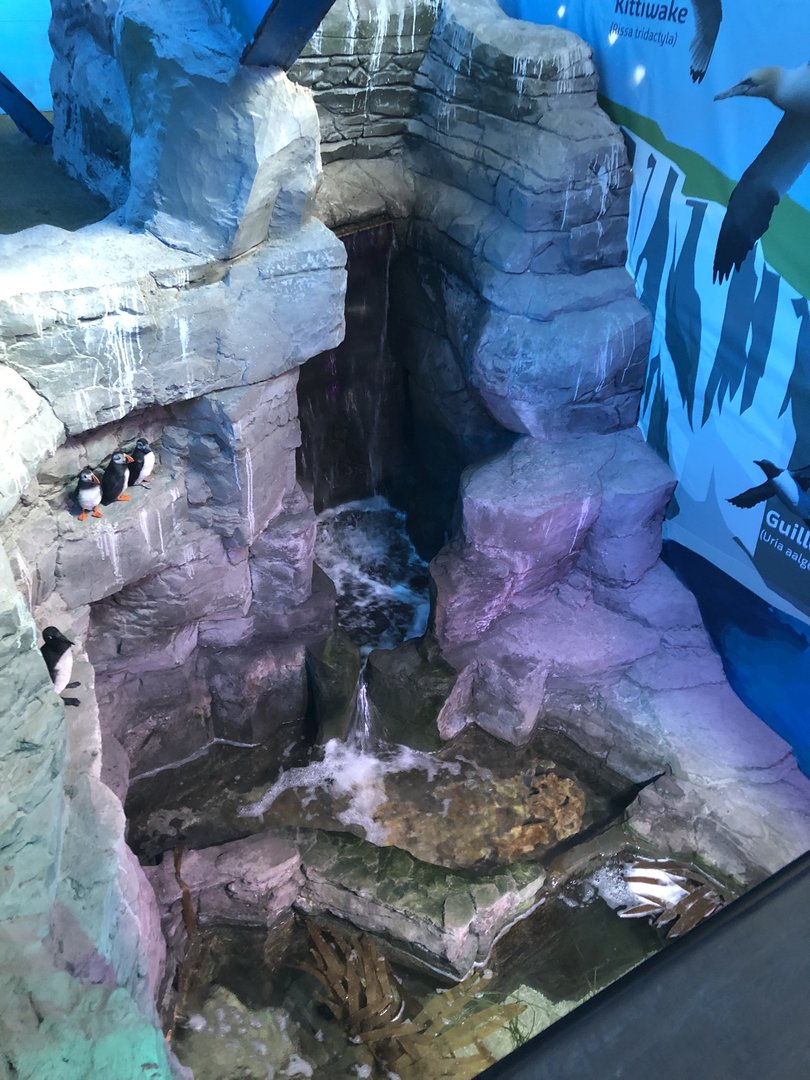 Upper View of the Coastal Tank at SEA LIFE Scarborough (September 2022)