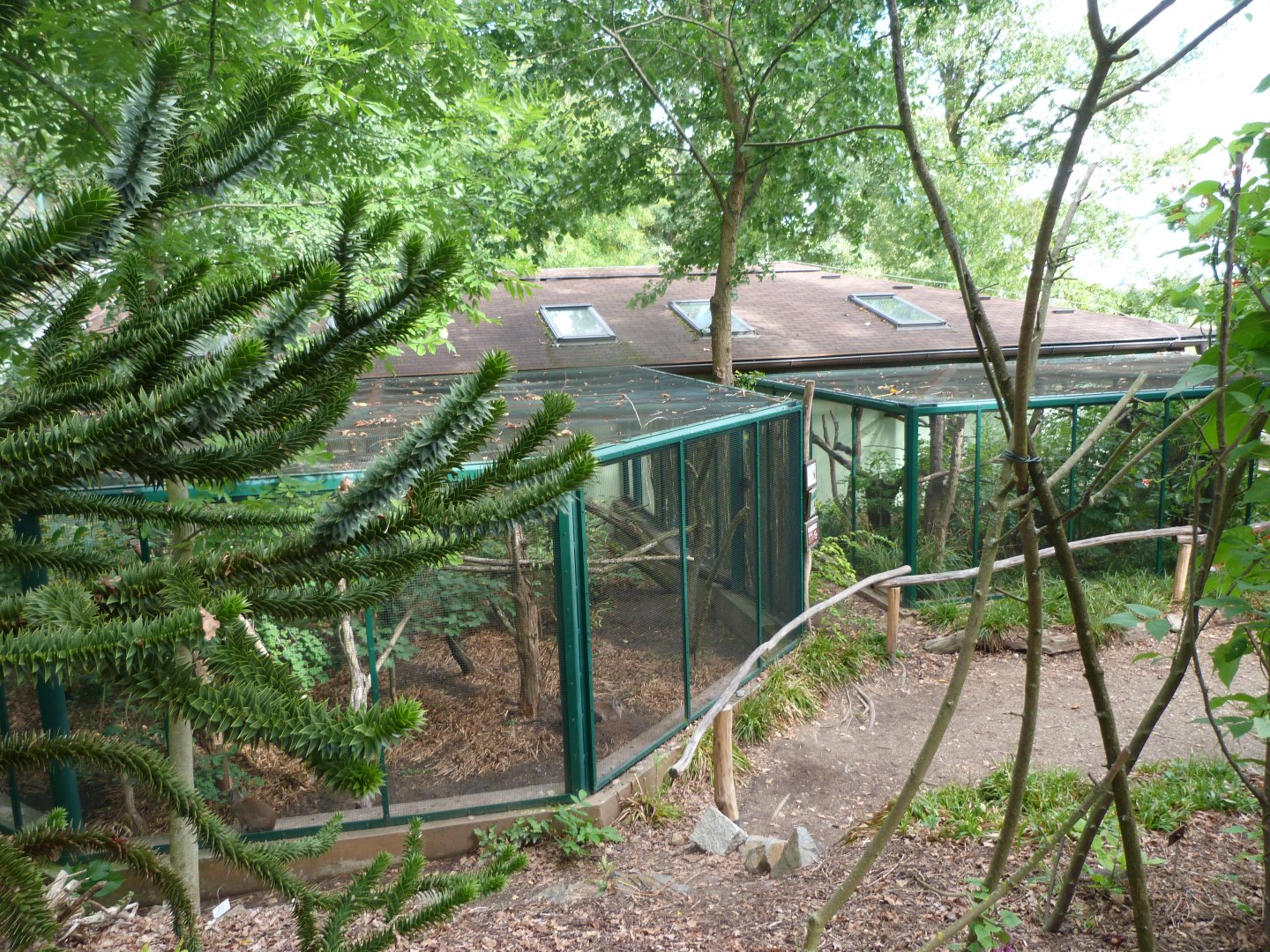 Upper view of the South American house -Zoo Plzeň (2025)