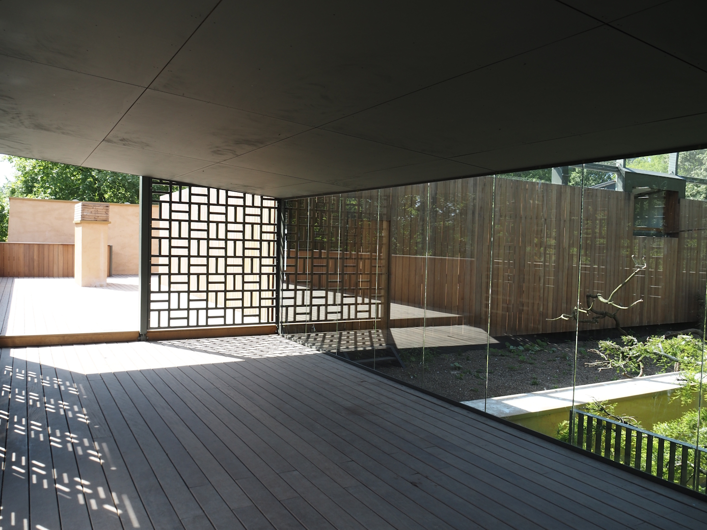 Upper viewing area on top of the hippo house - Aviary viewing area, 2025-05-14