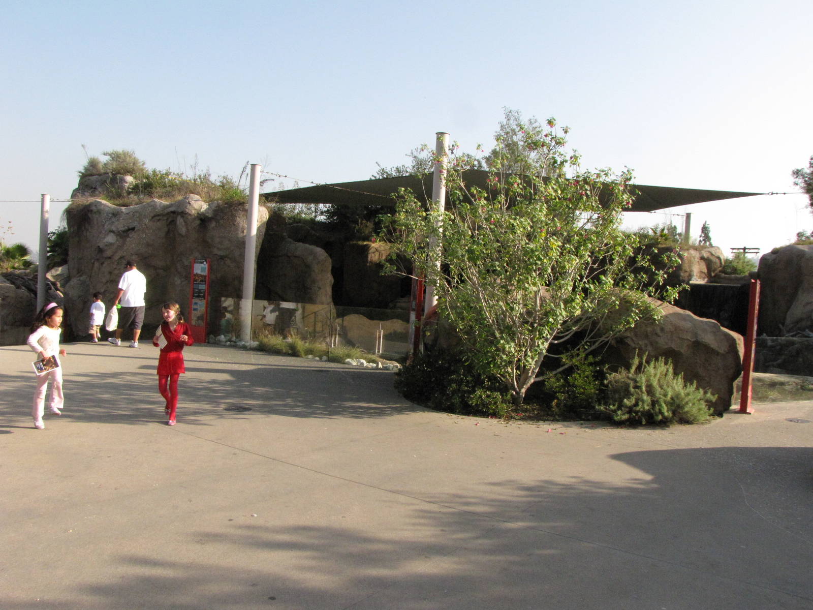 Upper Viewing Level: Sea Life Cliffs