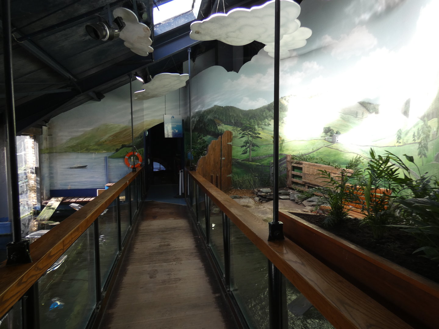 Upper viewing of the Lake Windermere tank