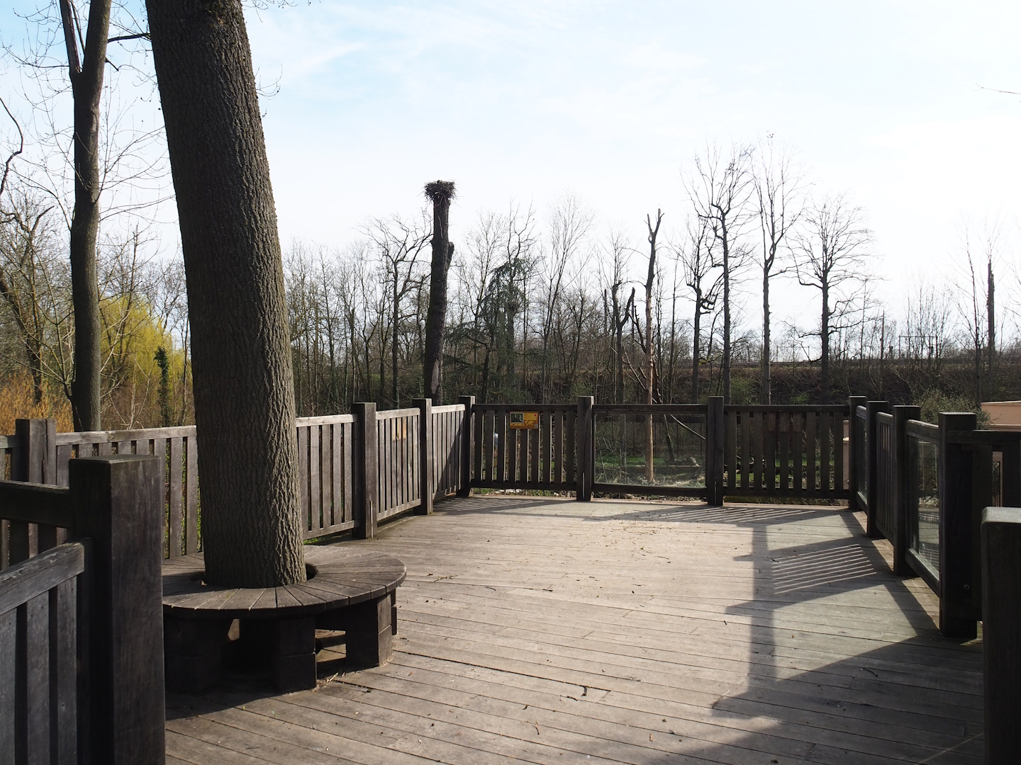 Upper viewing platform for Barbary macaque exhibit, 2023-03-28