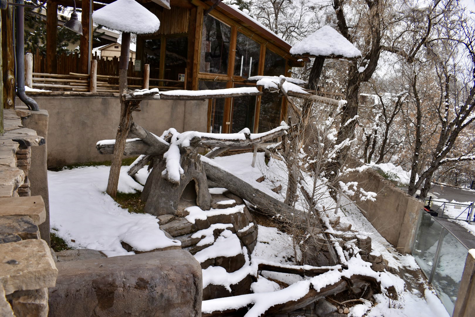 Upper Viewing - Red Panda Exhibit - Asian Highlands