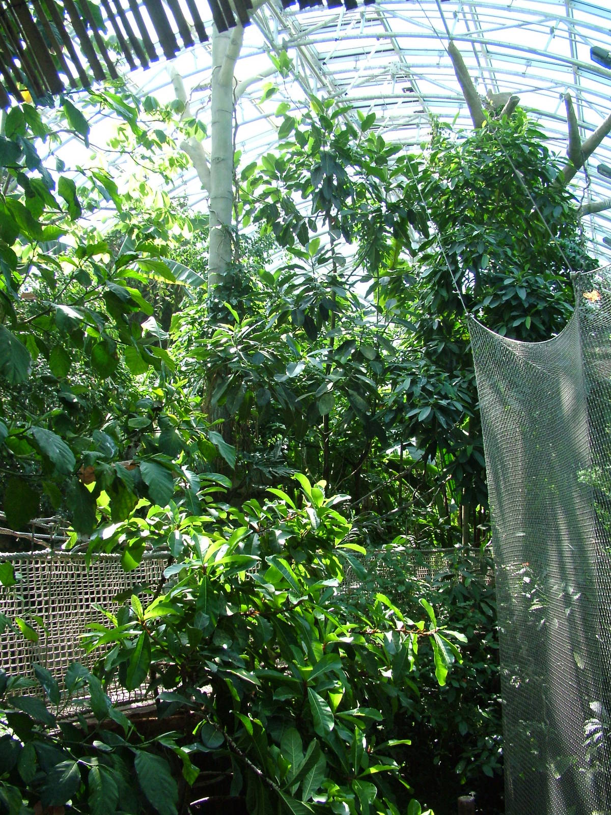 Upper walkway in the Yucatan Hall at Zlin, 28/05/10