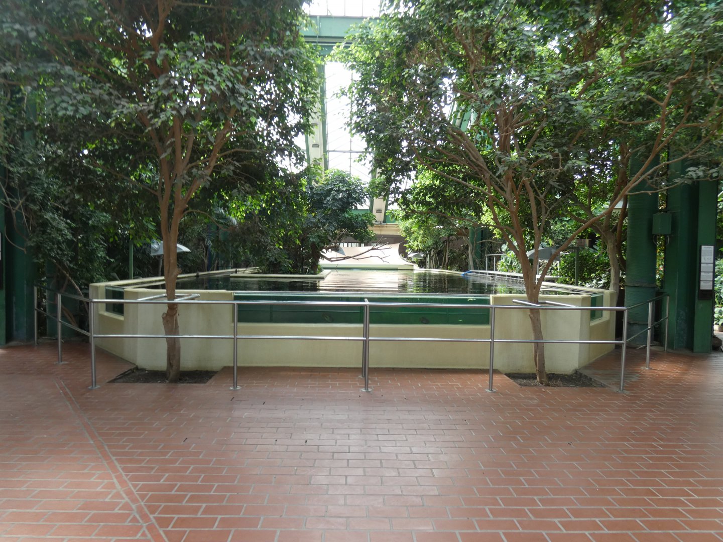 Upper West Indian Manatee Viewing Area