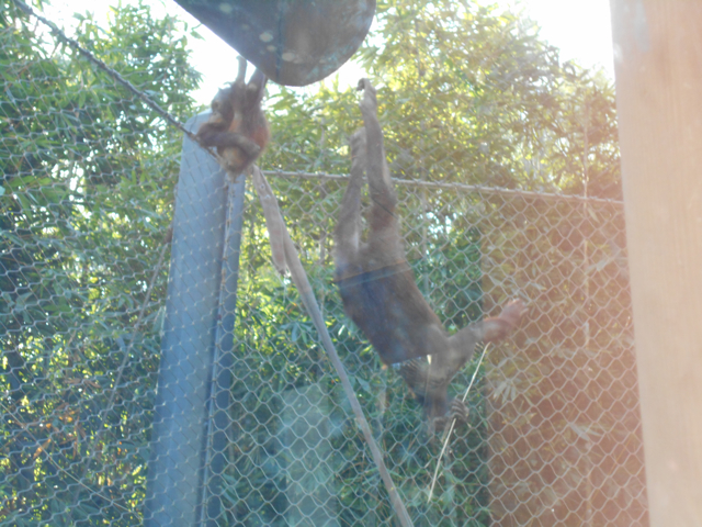 Upside down and all around.